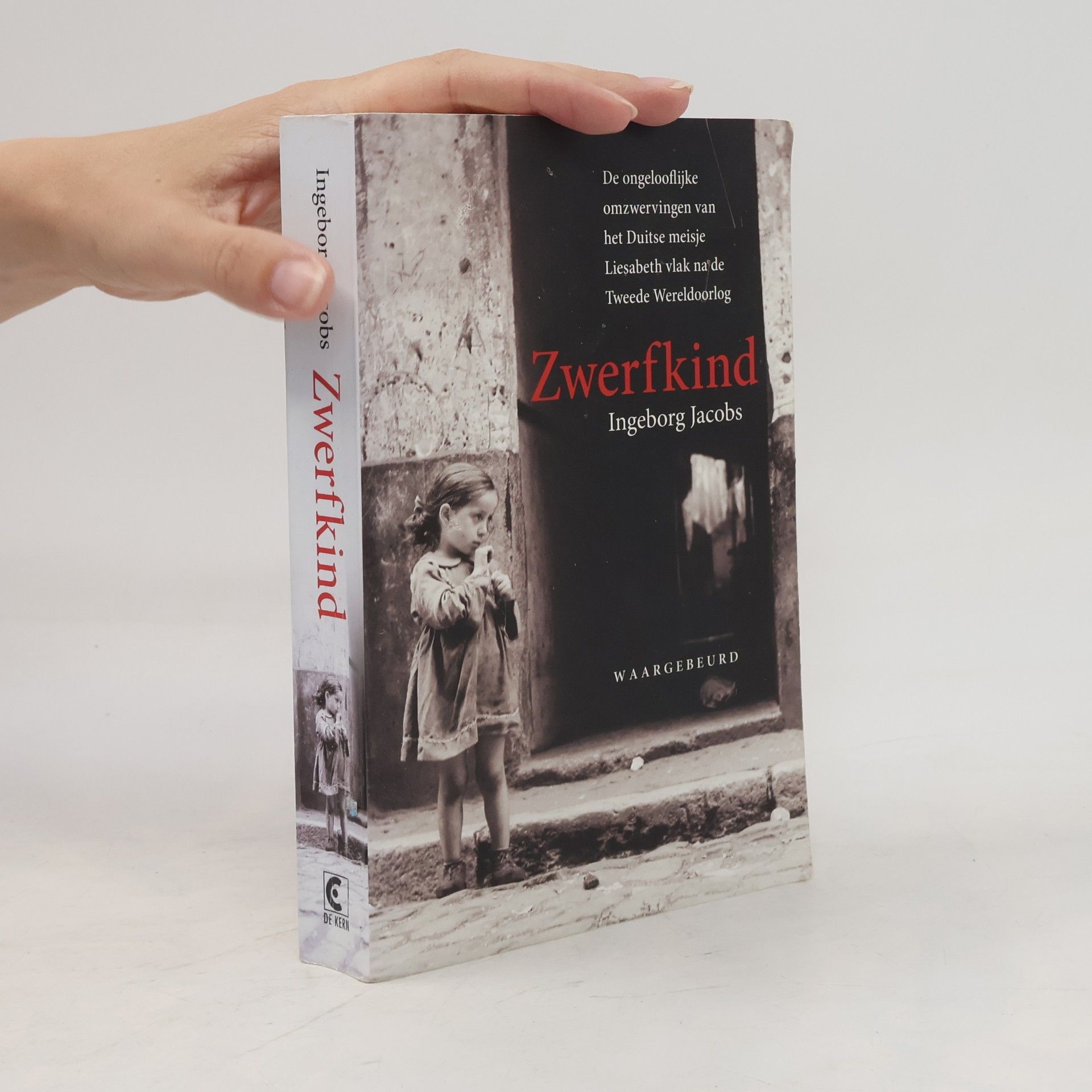 Ingeborg Jacobs Zwerfkind