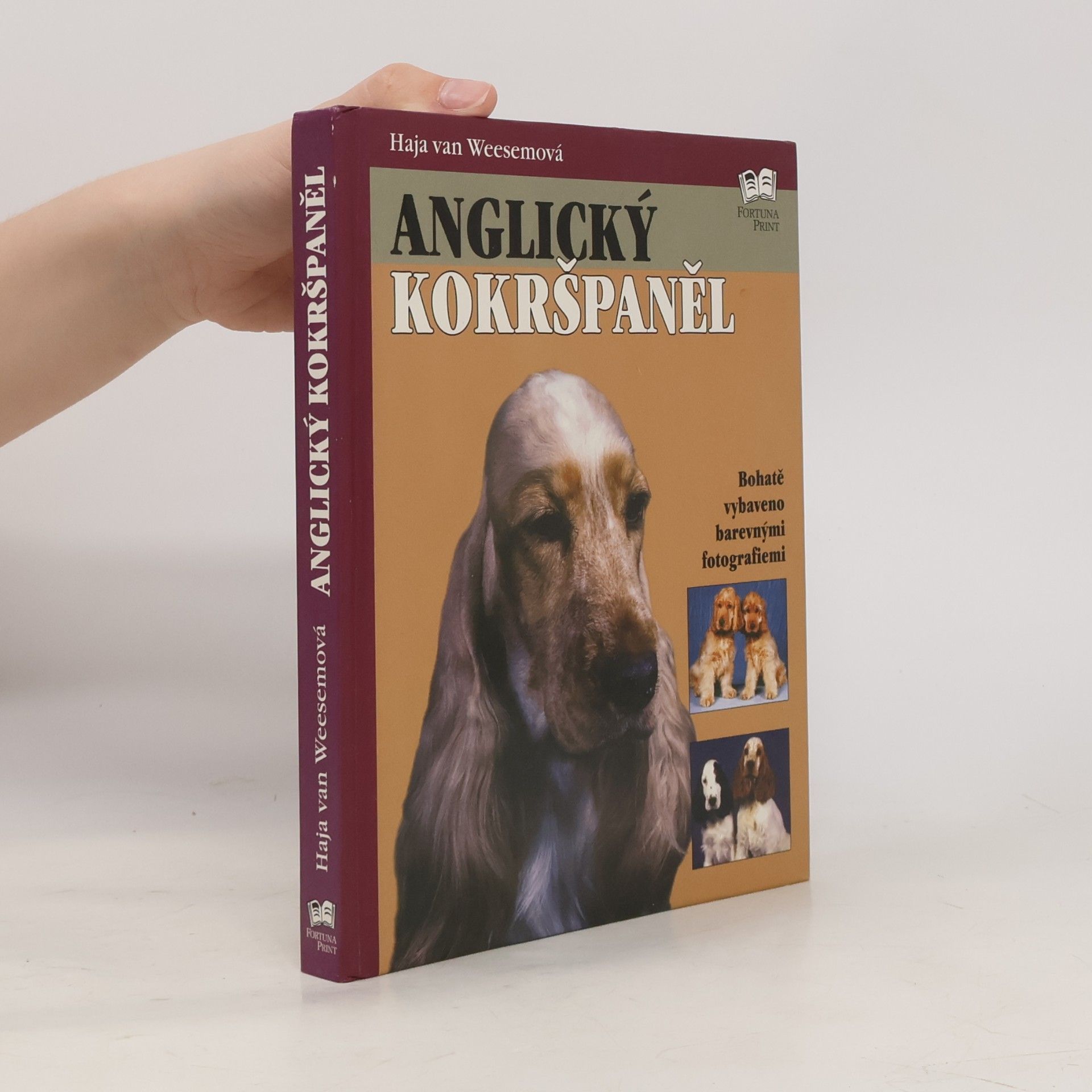 Haja van Wessem Anglický kokršpaněl
