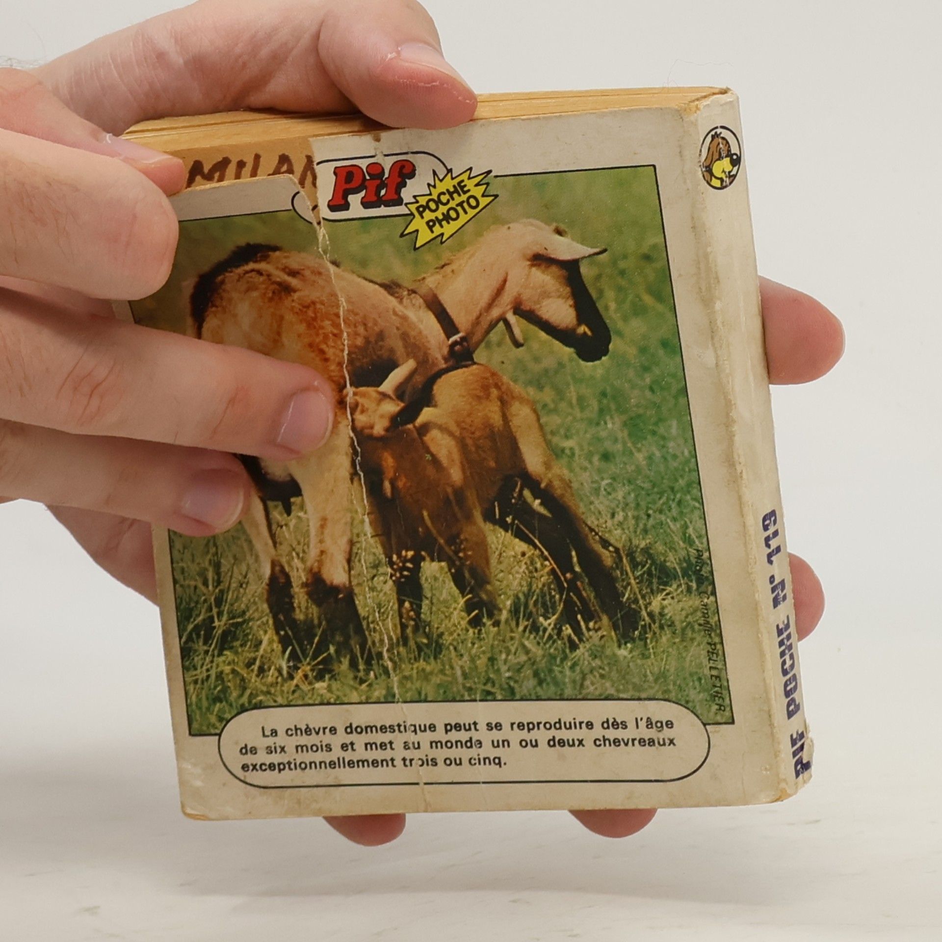 Collectif d'auteurs Pif Poche n° 119