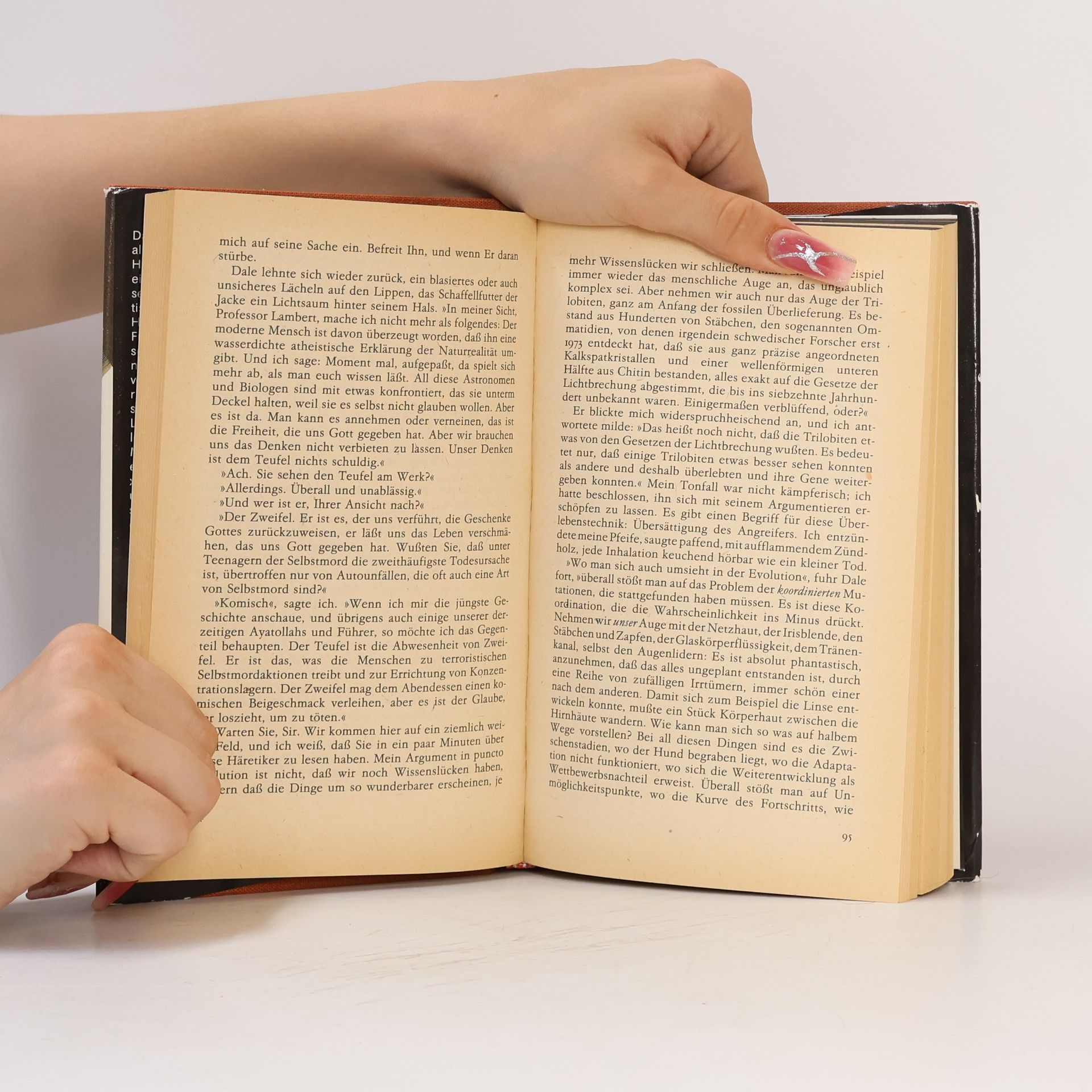 John Updike Das Gottesprogramm