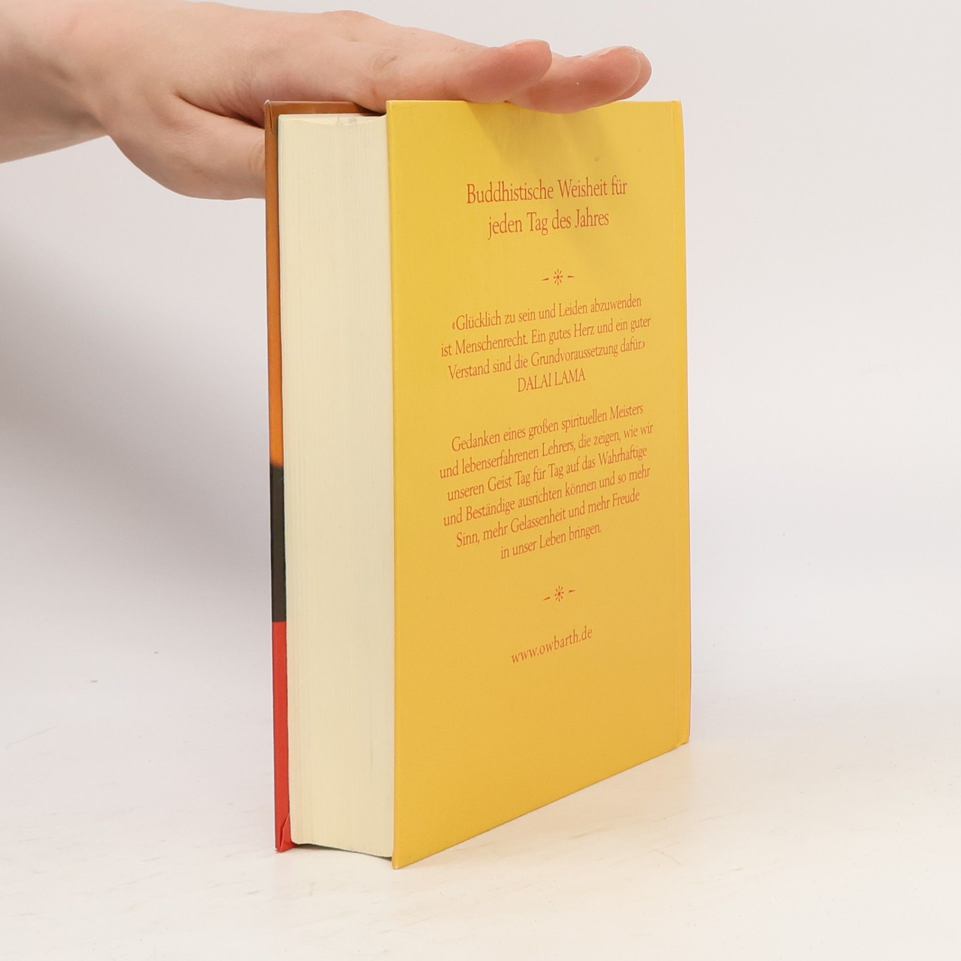 Autorenkollektiv Mit dem Dalai Lama durchs Jahr