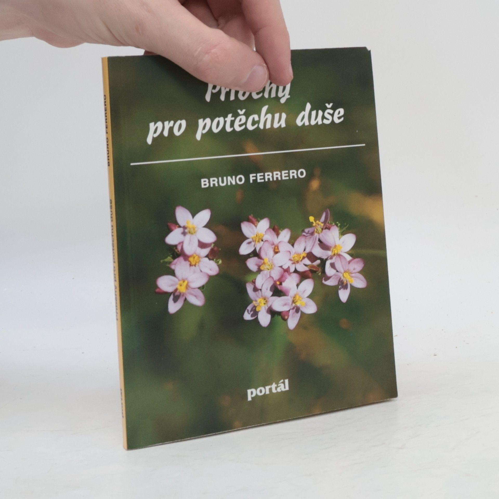 Bruno Ferrero Příběhy pro potěchu duše
