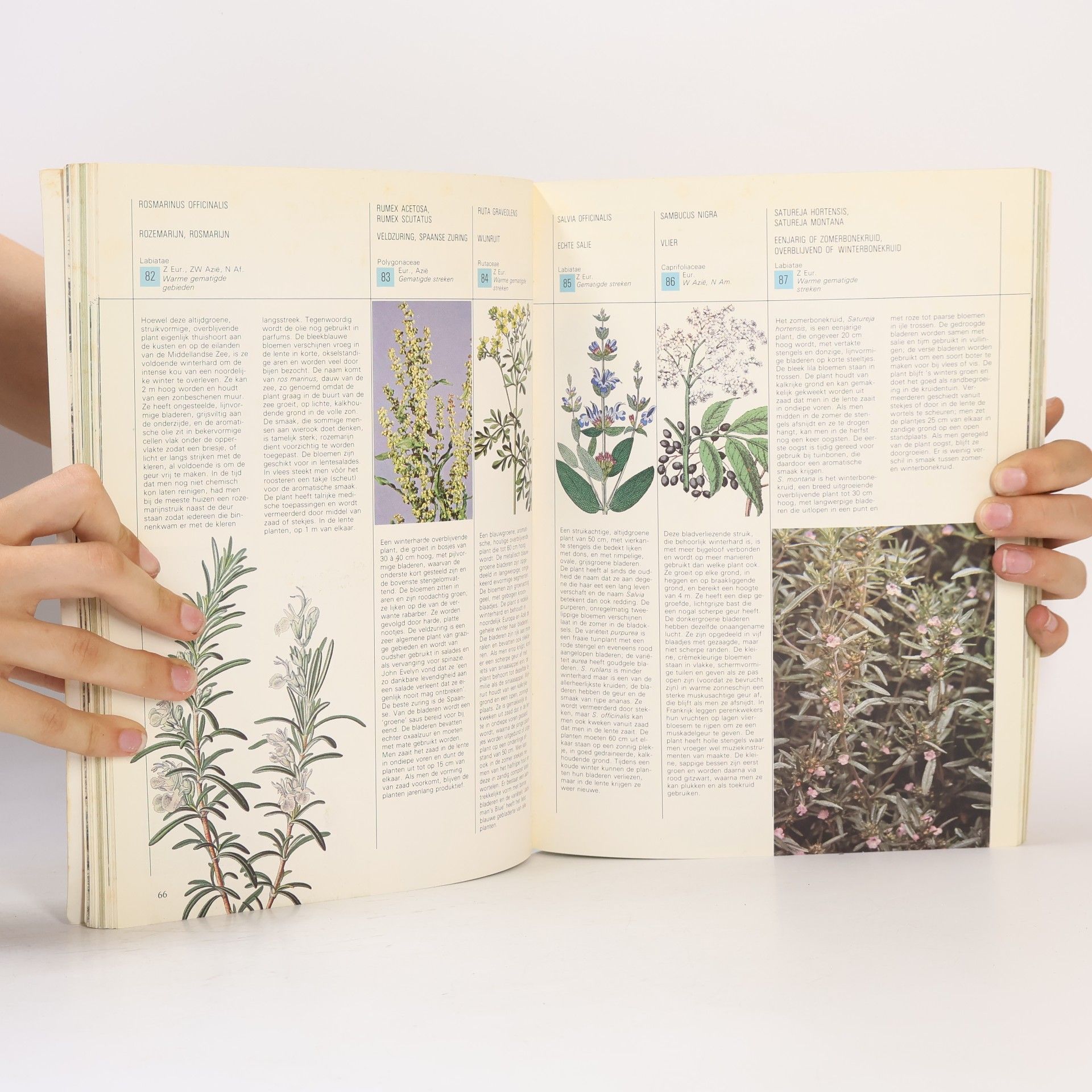 Waverley Root Het grote keukenkruidenboek