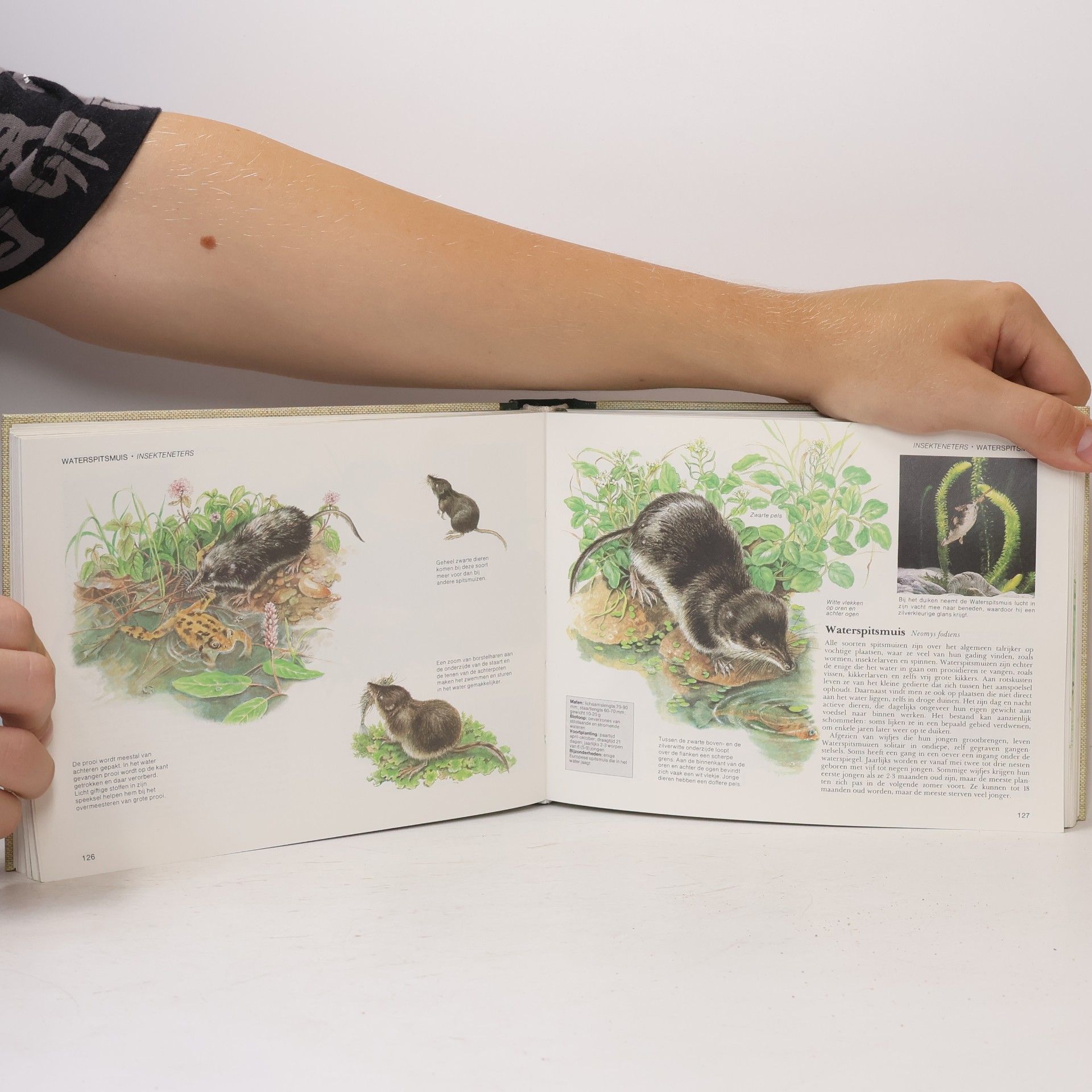 Various authors Wilde Planten