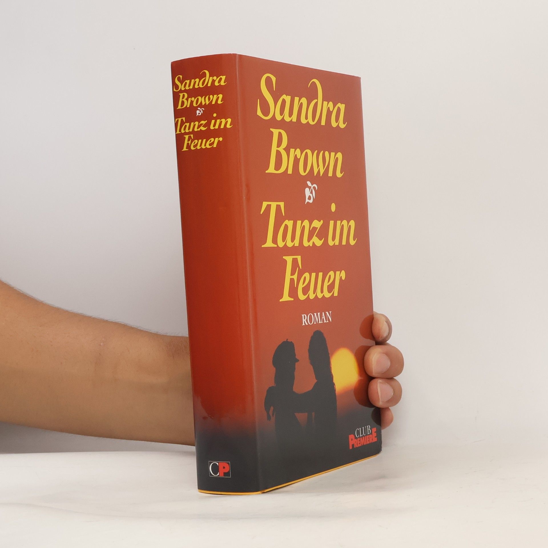Sandra Brown Tanz im Feuer