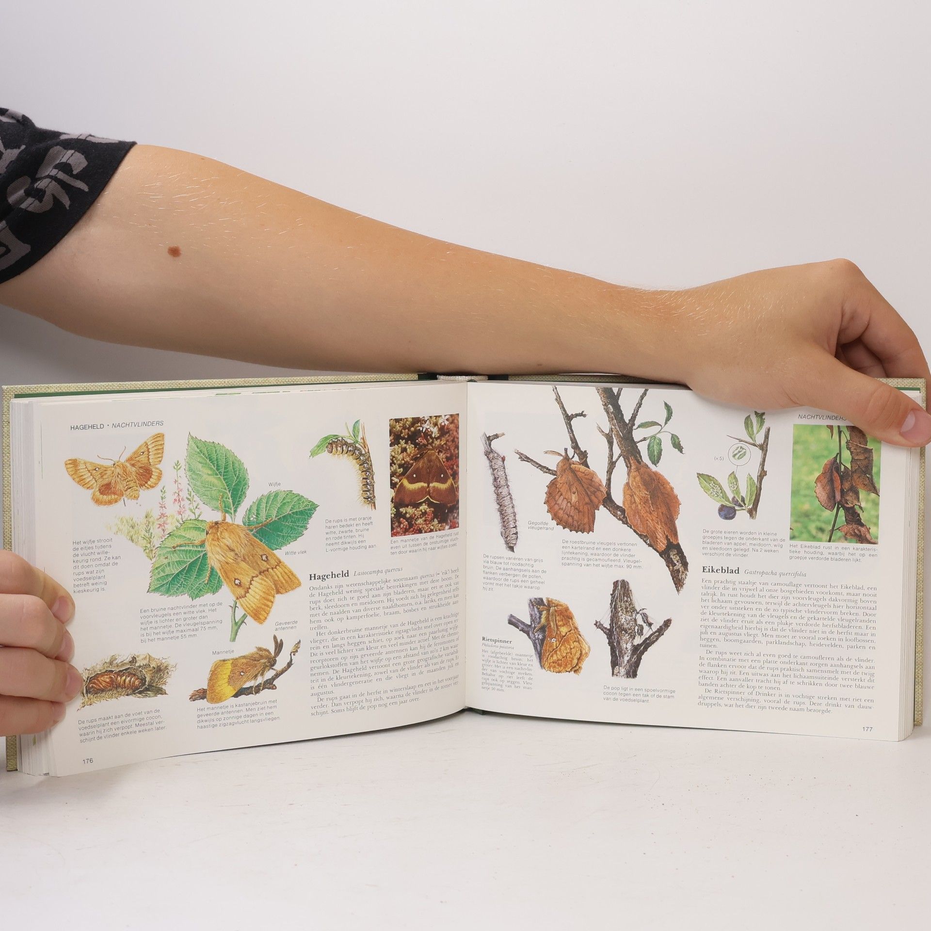 John Feltwell Reader's Digest veldgids voor de natuurliefhebber