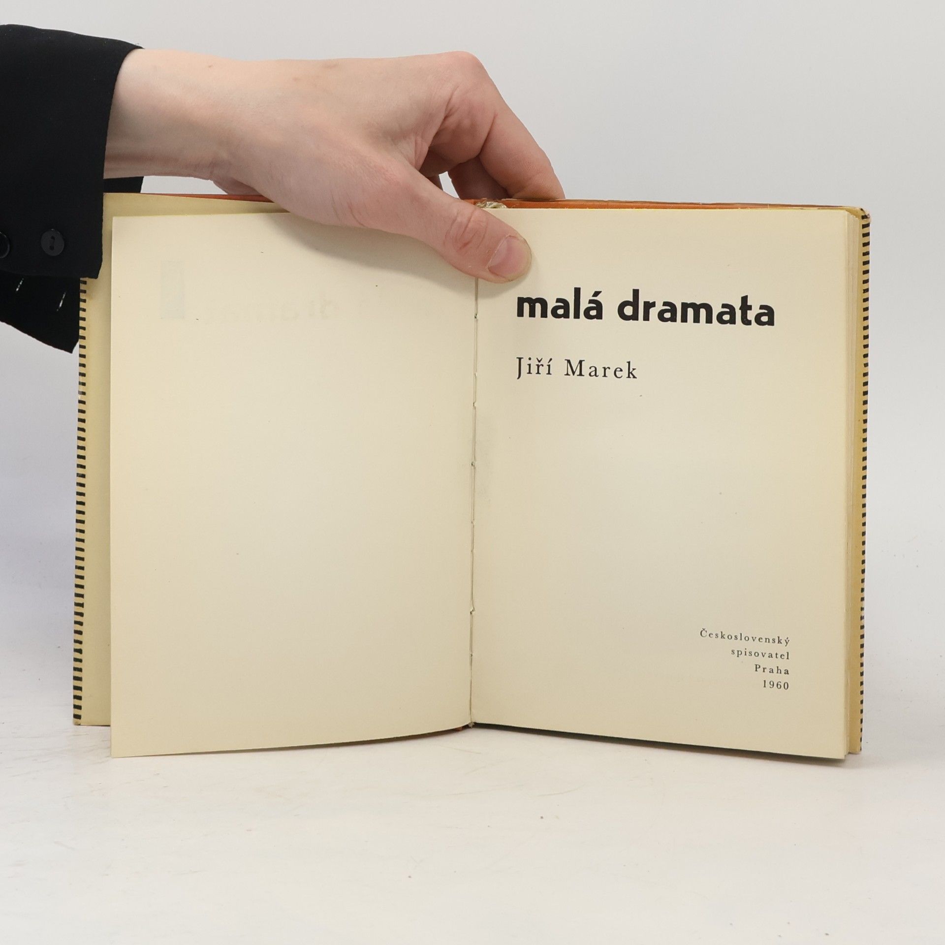 Jiří Marek Malá dramata