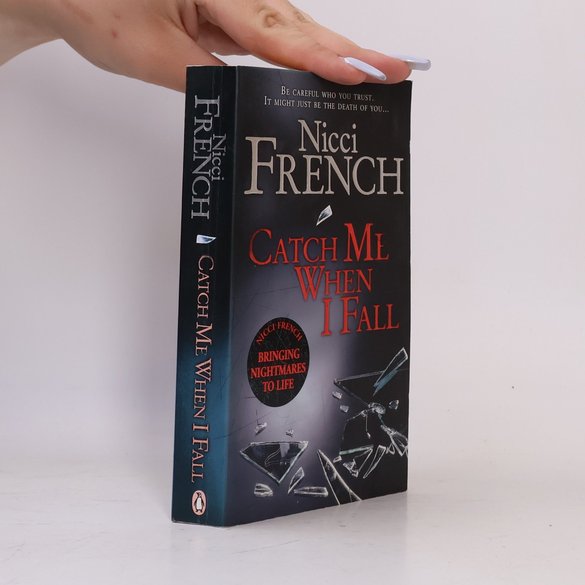 Nicci French Catch Me when I Fall