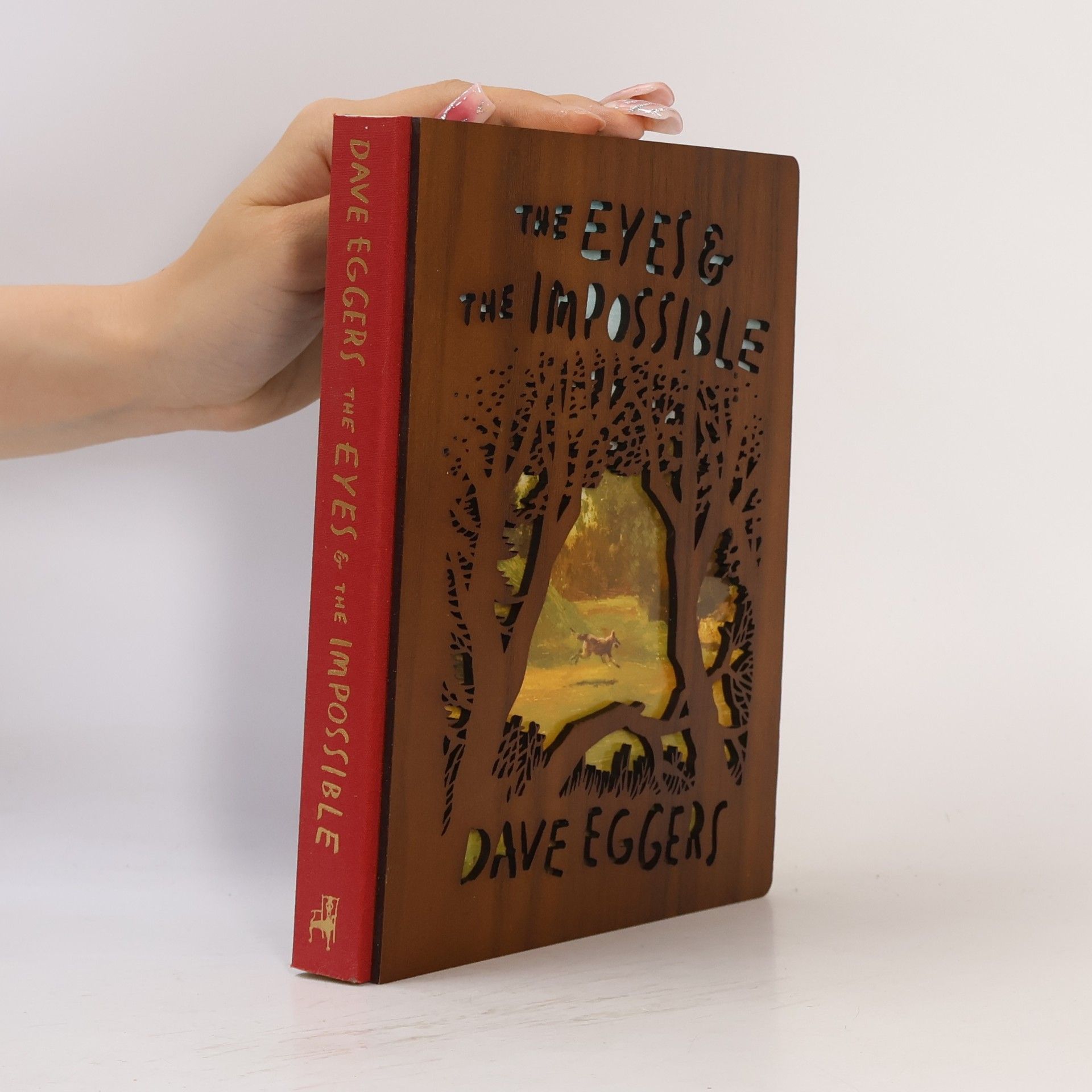Dave Eggers The Eyes and the Impossible