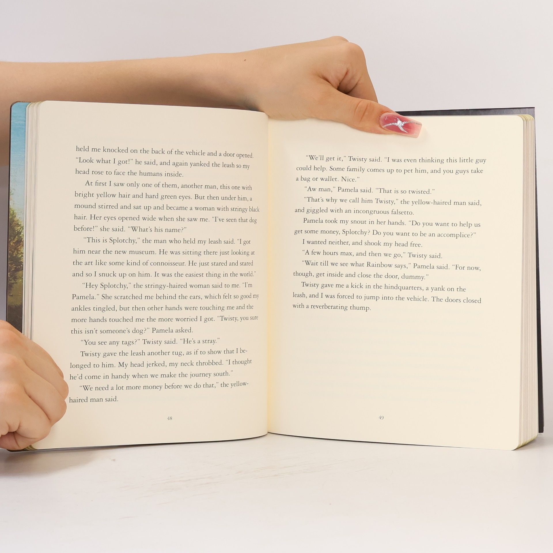 Dave Eggers The Eyes and the Impossible