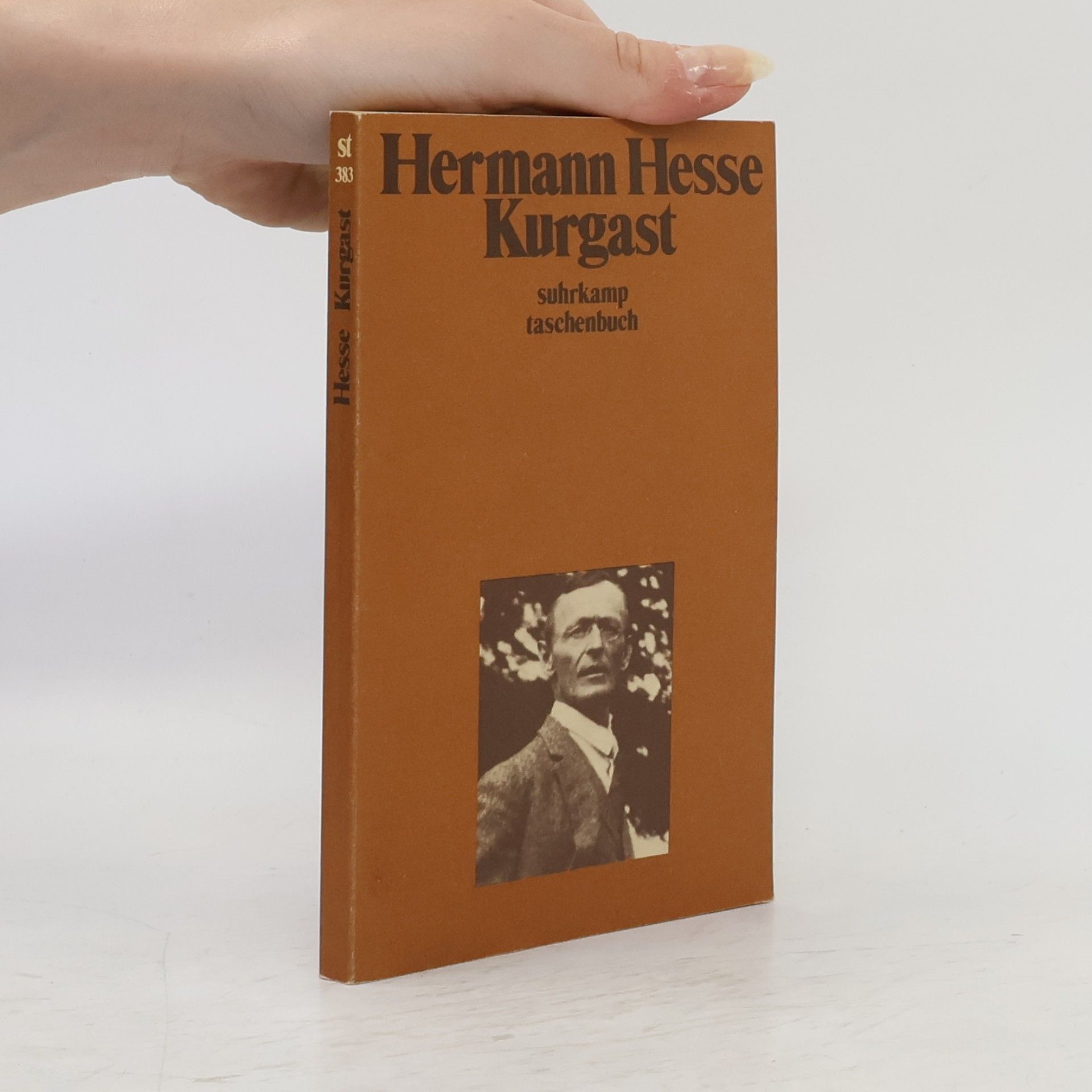 Hermann Hesse Kurgast