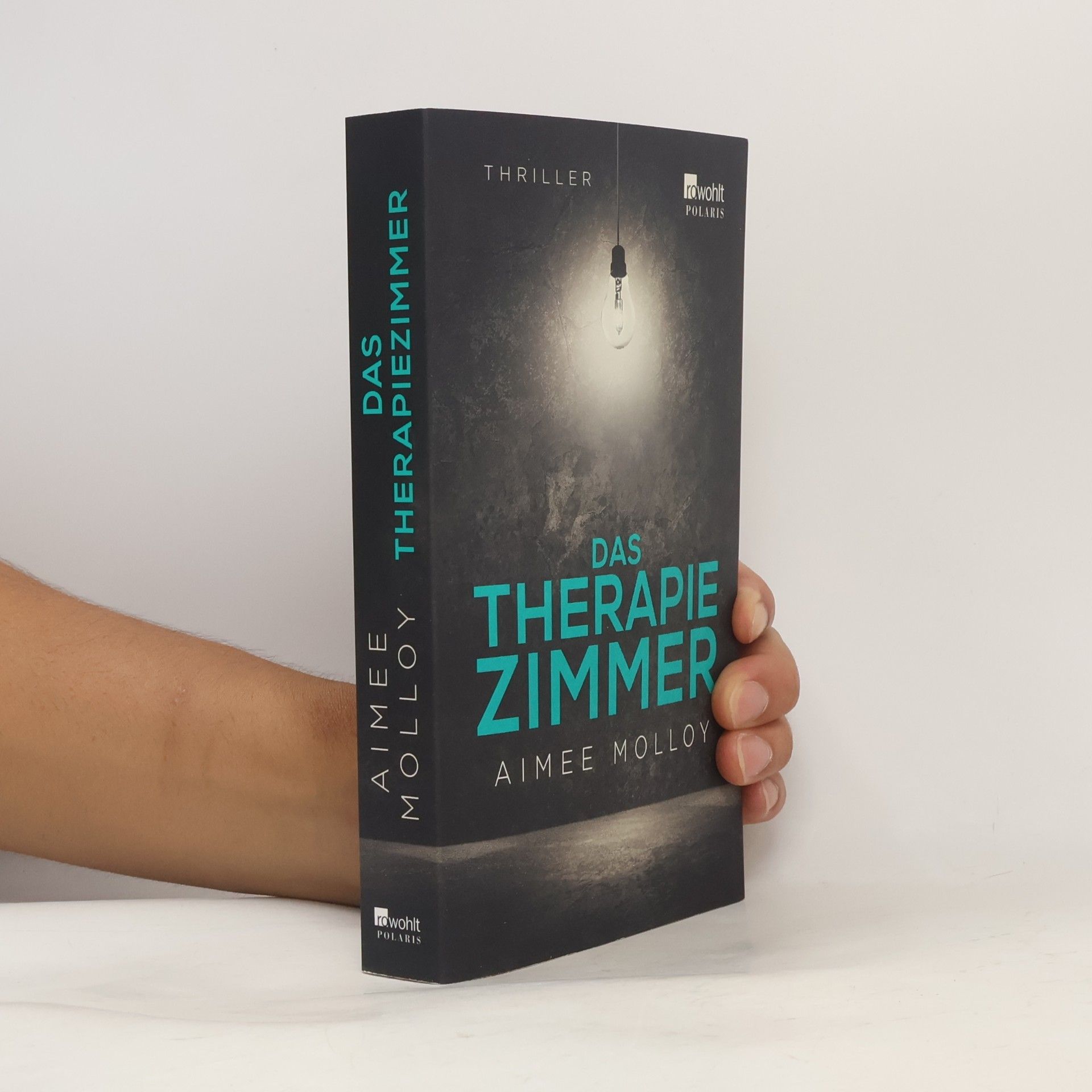 Aimee Molloy Das Therapiezimmer