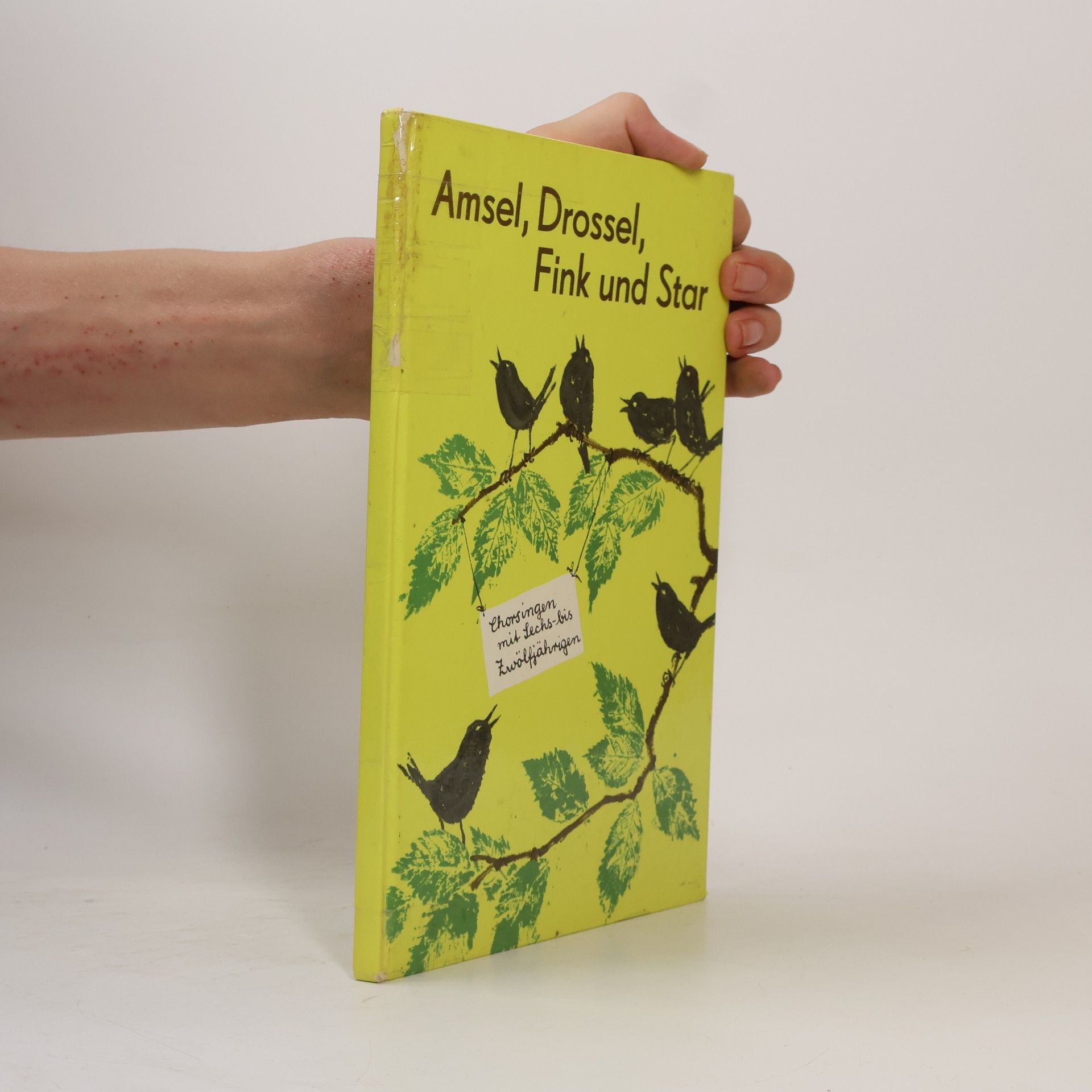 Autorenkollektiv Amsel, Drossel, Fink und Star