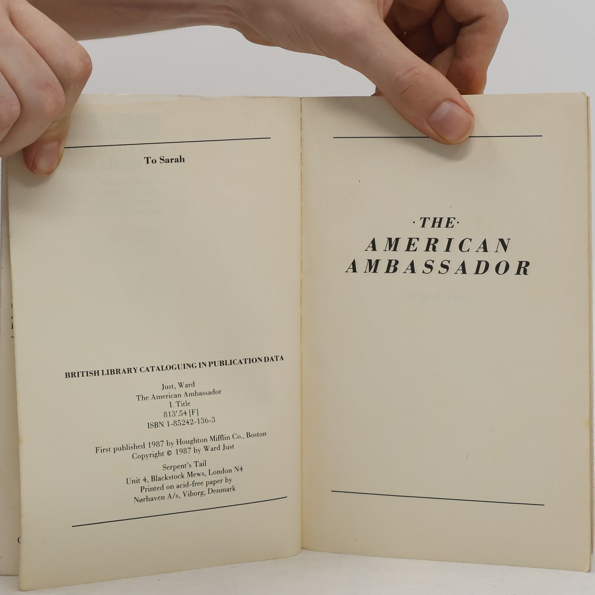 Ward Just The American Ambassador
