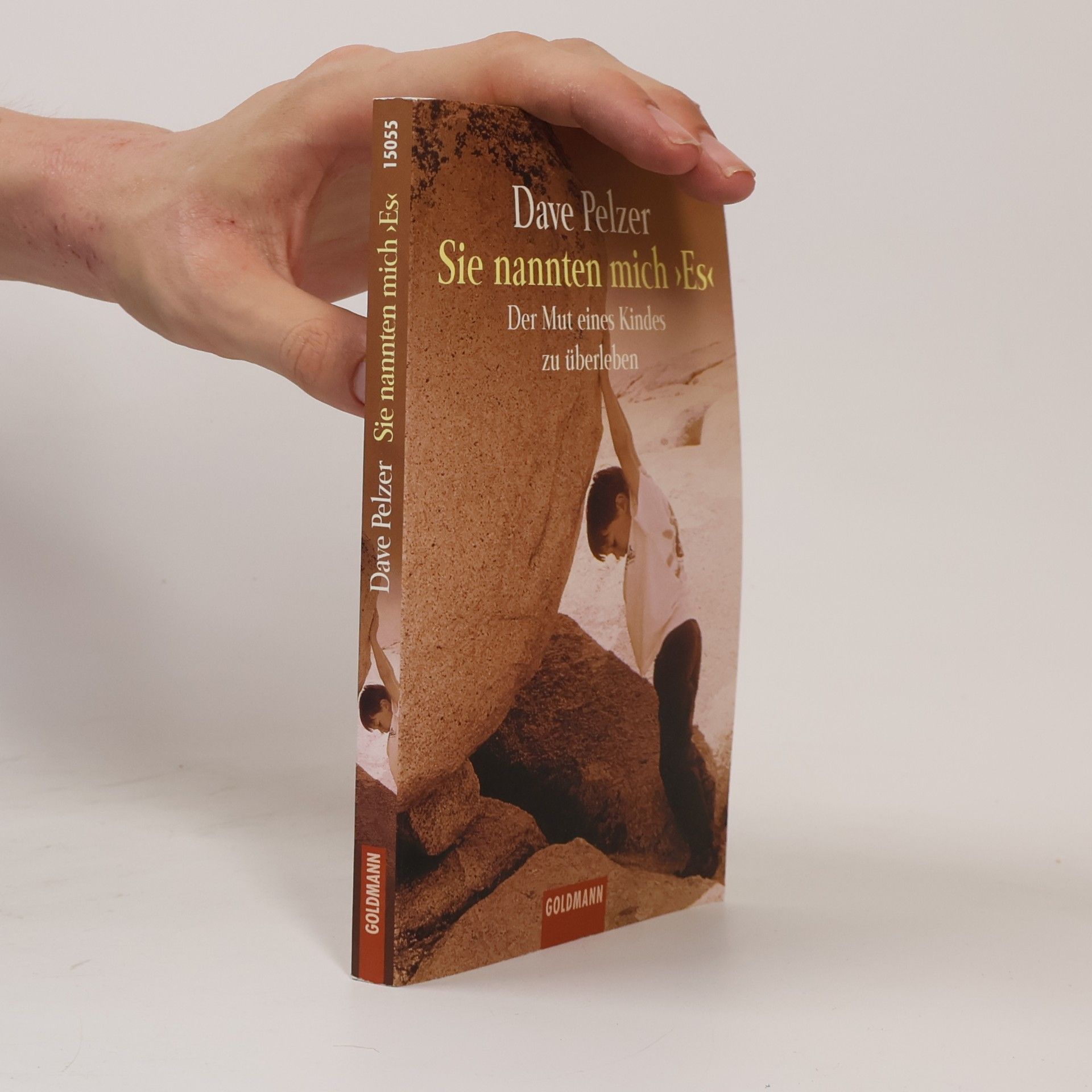 Dave Pelzer Sie nannten mich "Es"
