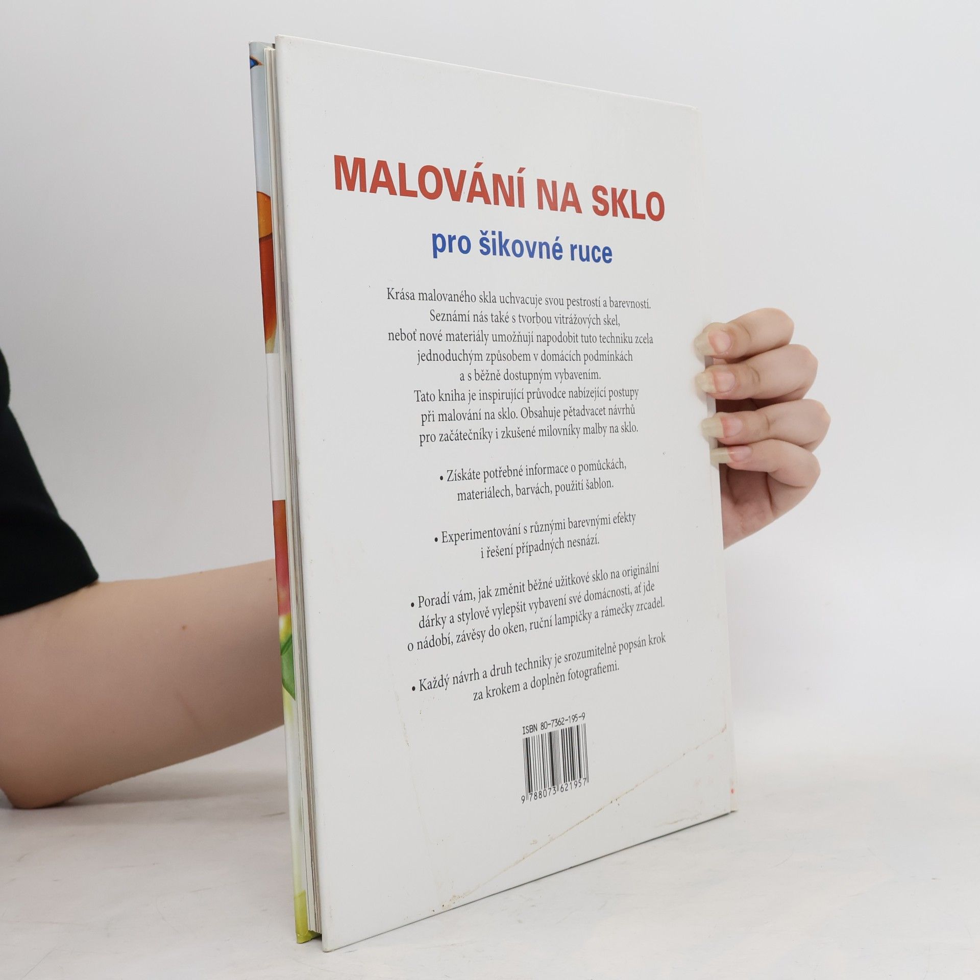 Cheryl Owen Malování na sklo pro šikovné ruce