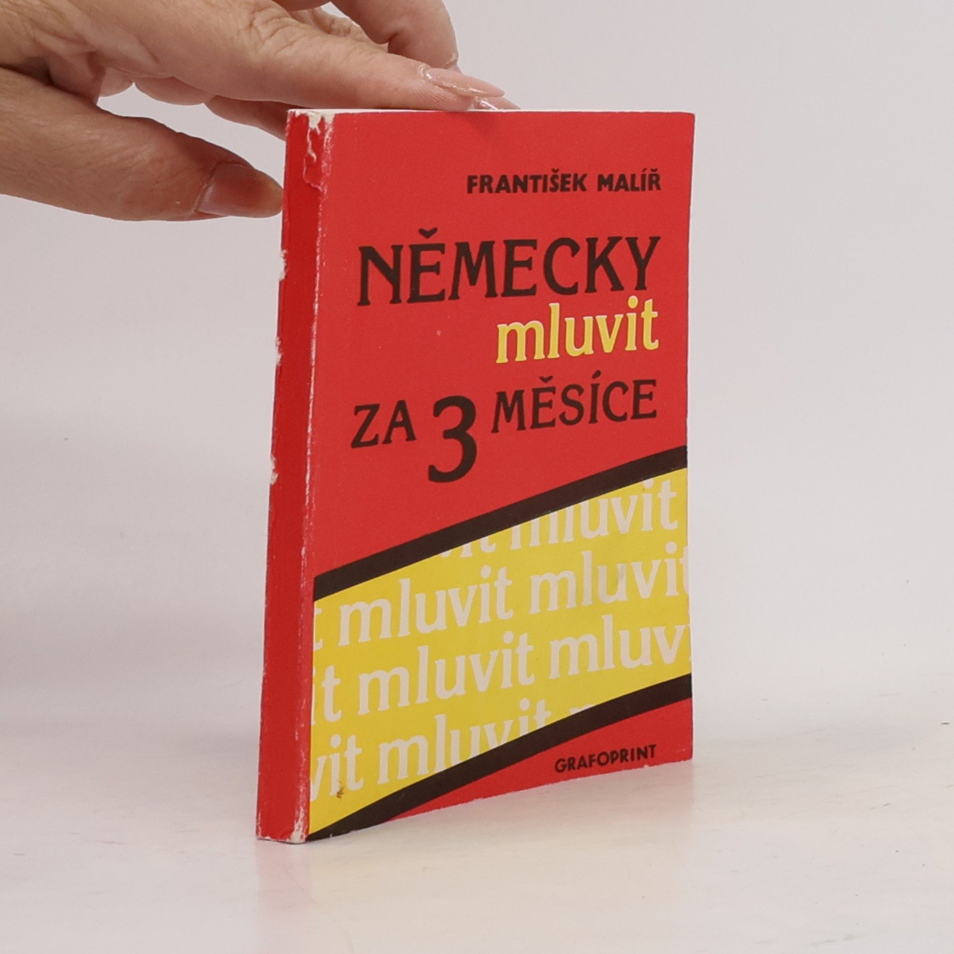 František Malíř Německy mluvit za 3 měsíce