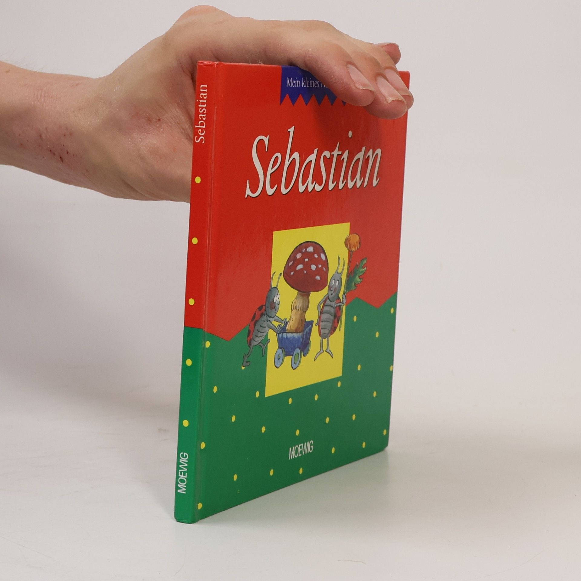 Collectif d'auteurs Mein kleines Namensbuch Sebastian