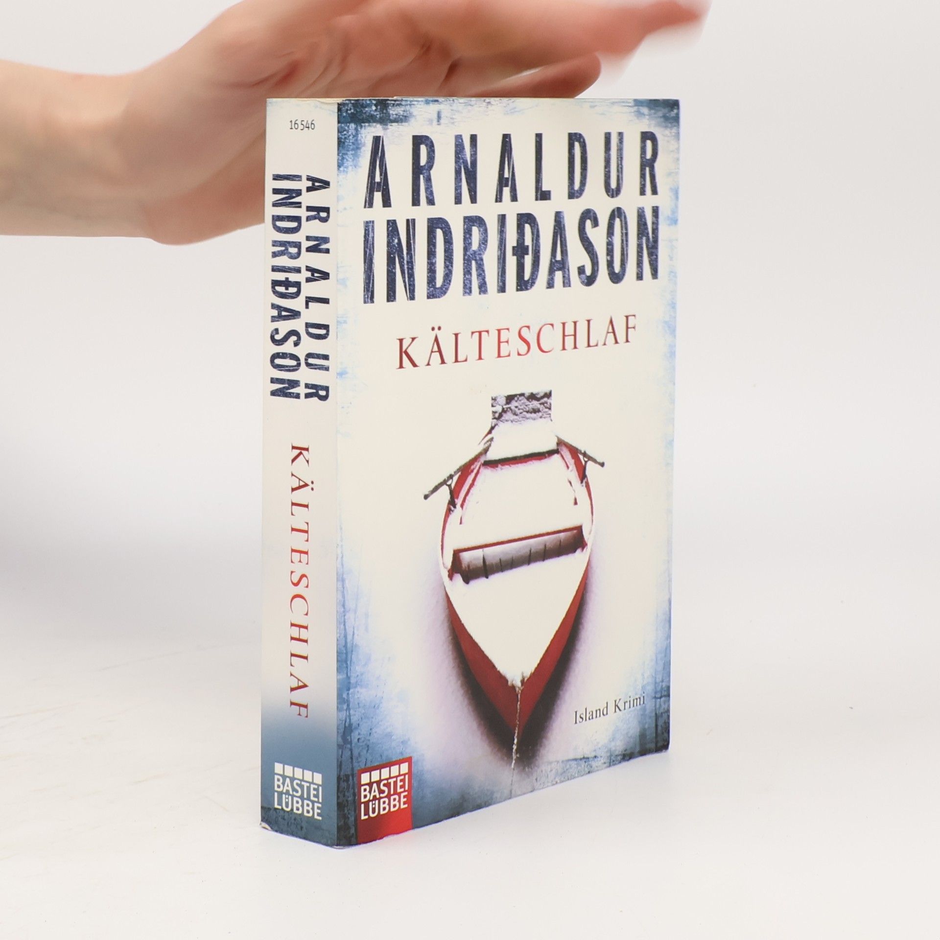 Arnaldur Indridason Kälteschlaf