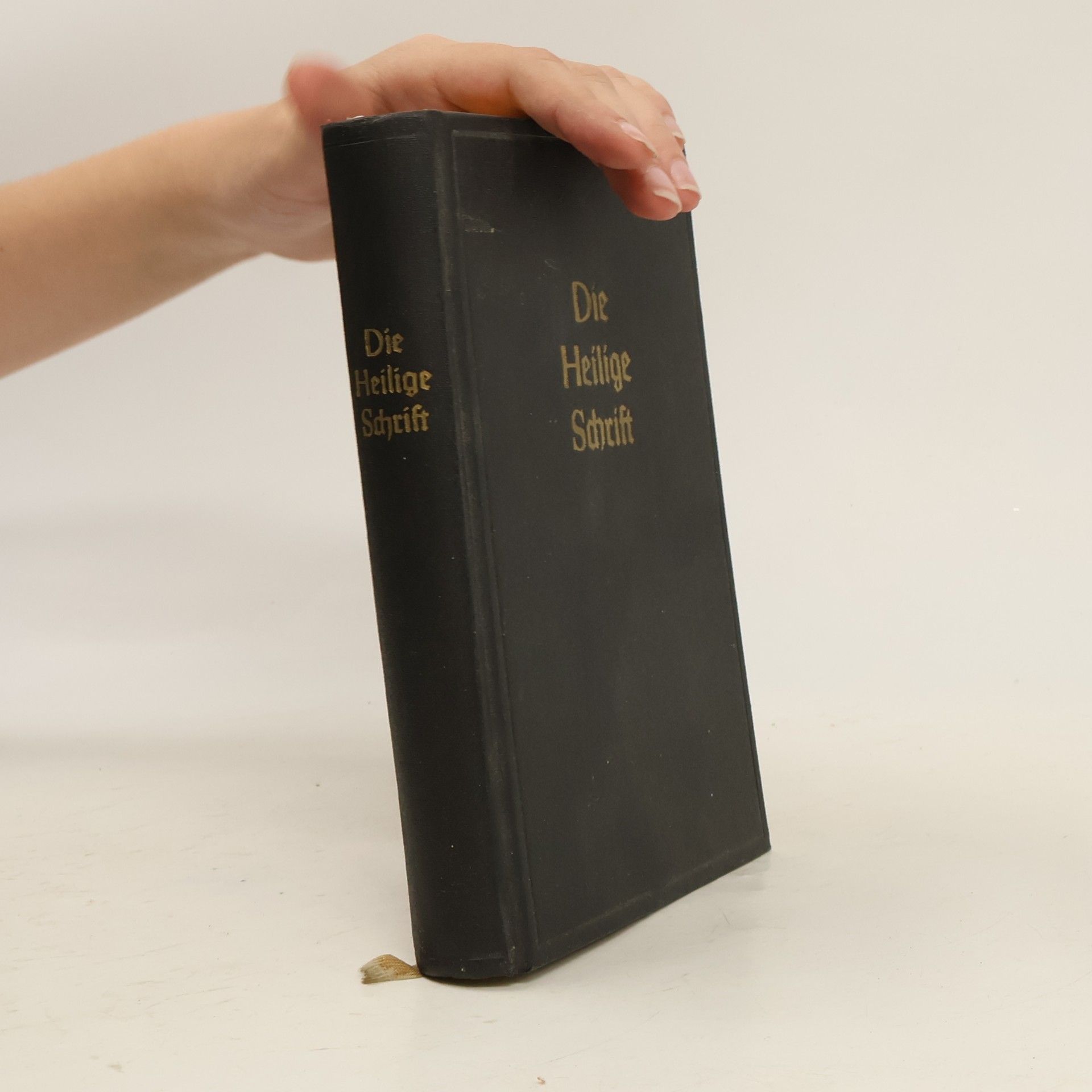 Autorenkollektiv Die Bibel oder die ganze Heilige Schrift des Alten und Neuen Testaments