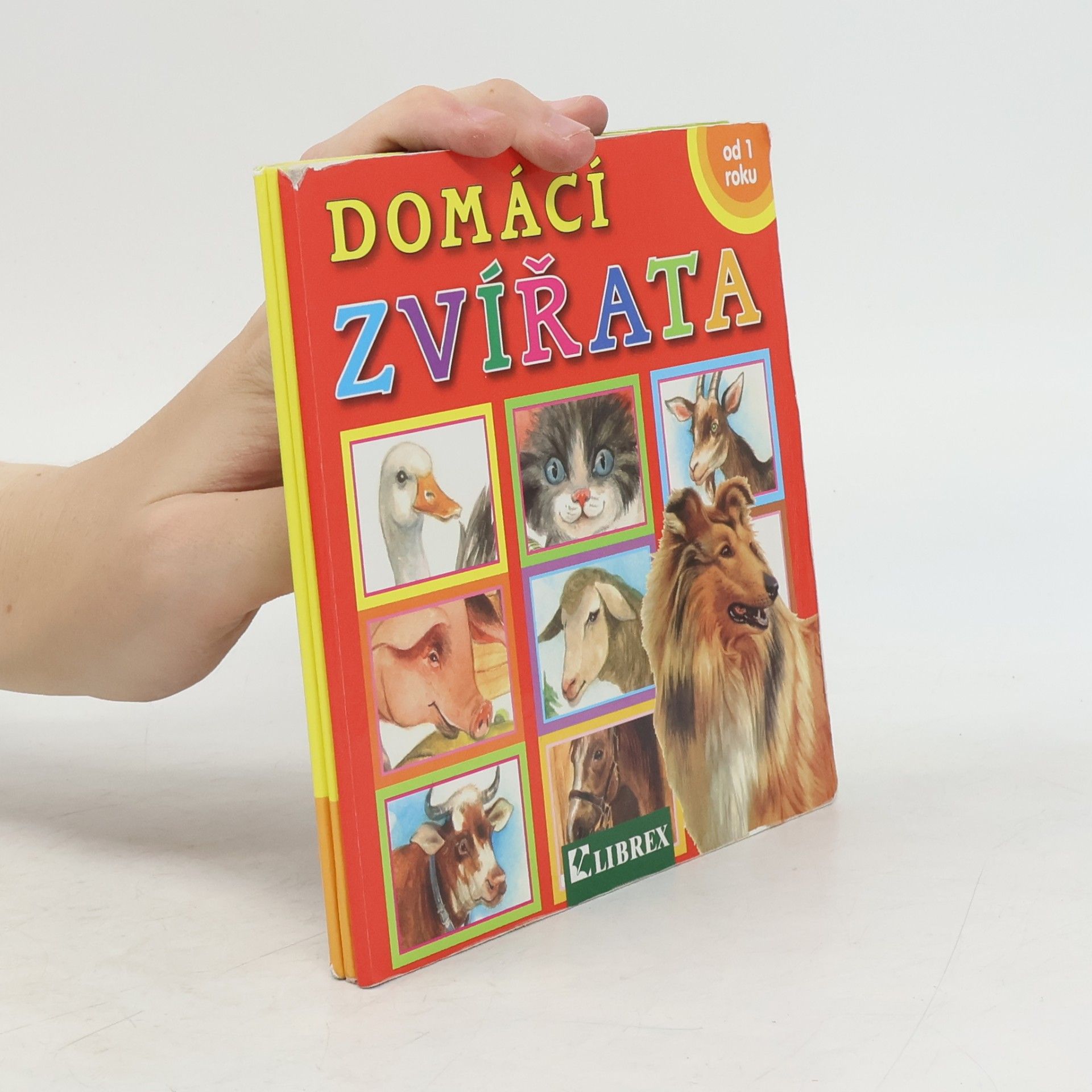 Domácí zvířata