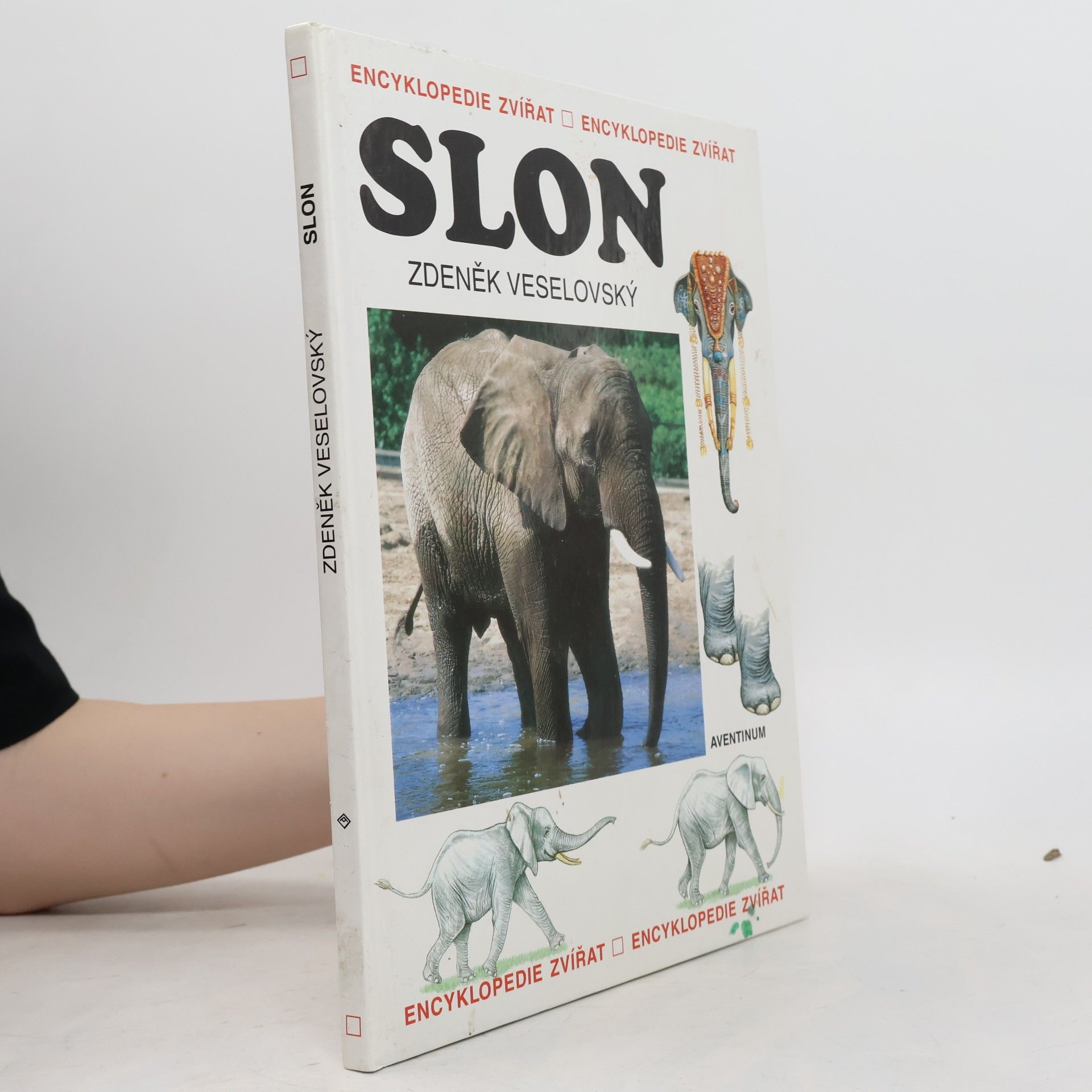 Zdeněk Veselovský Slon
