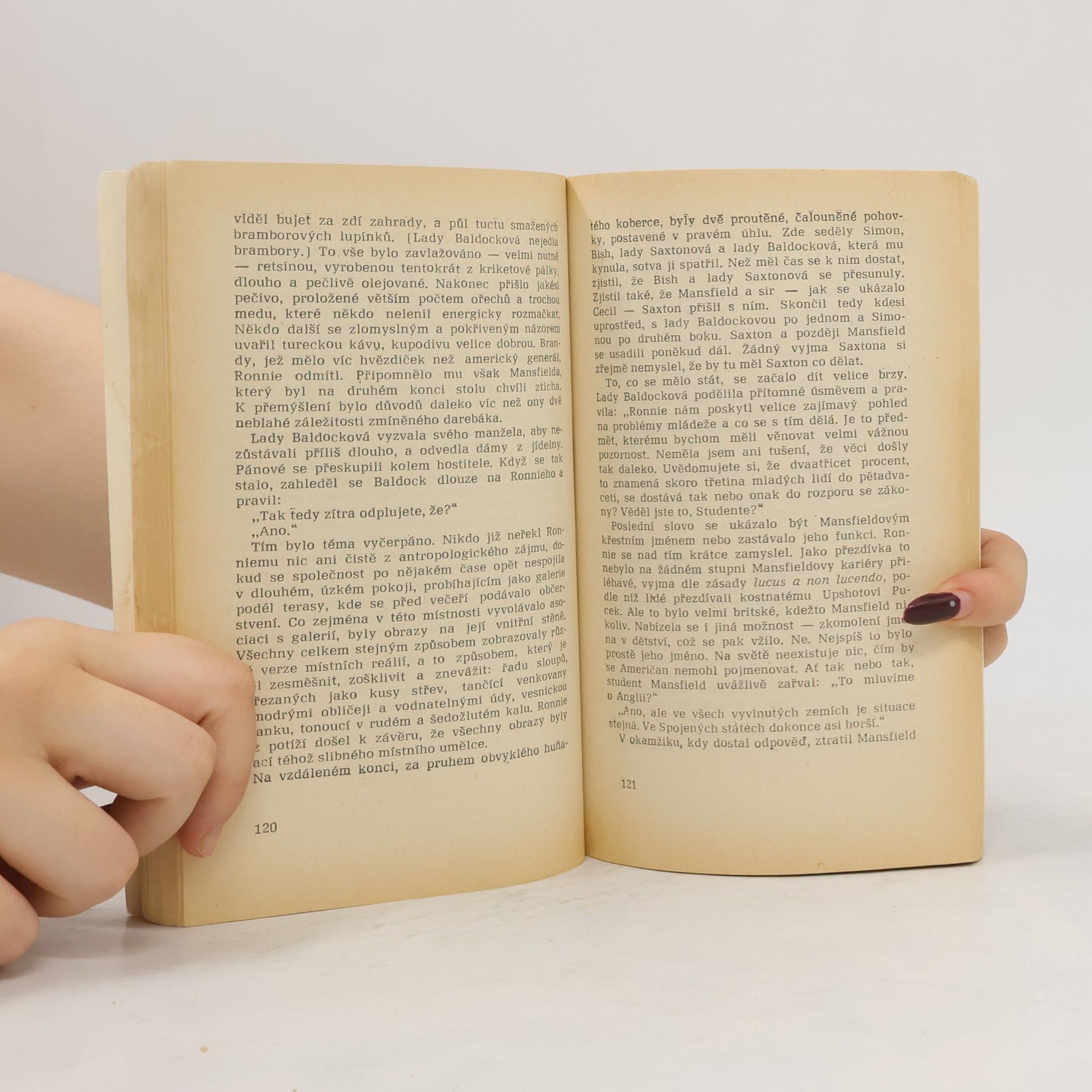 Kingsley Amis Chci to hned