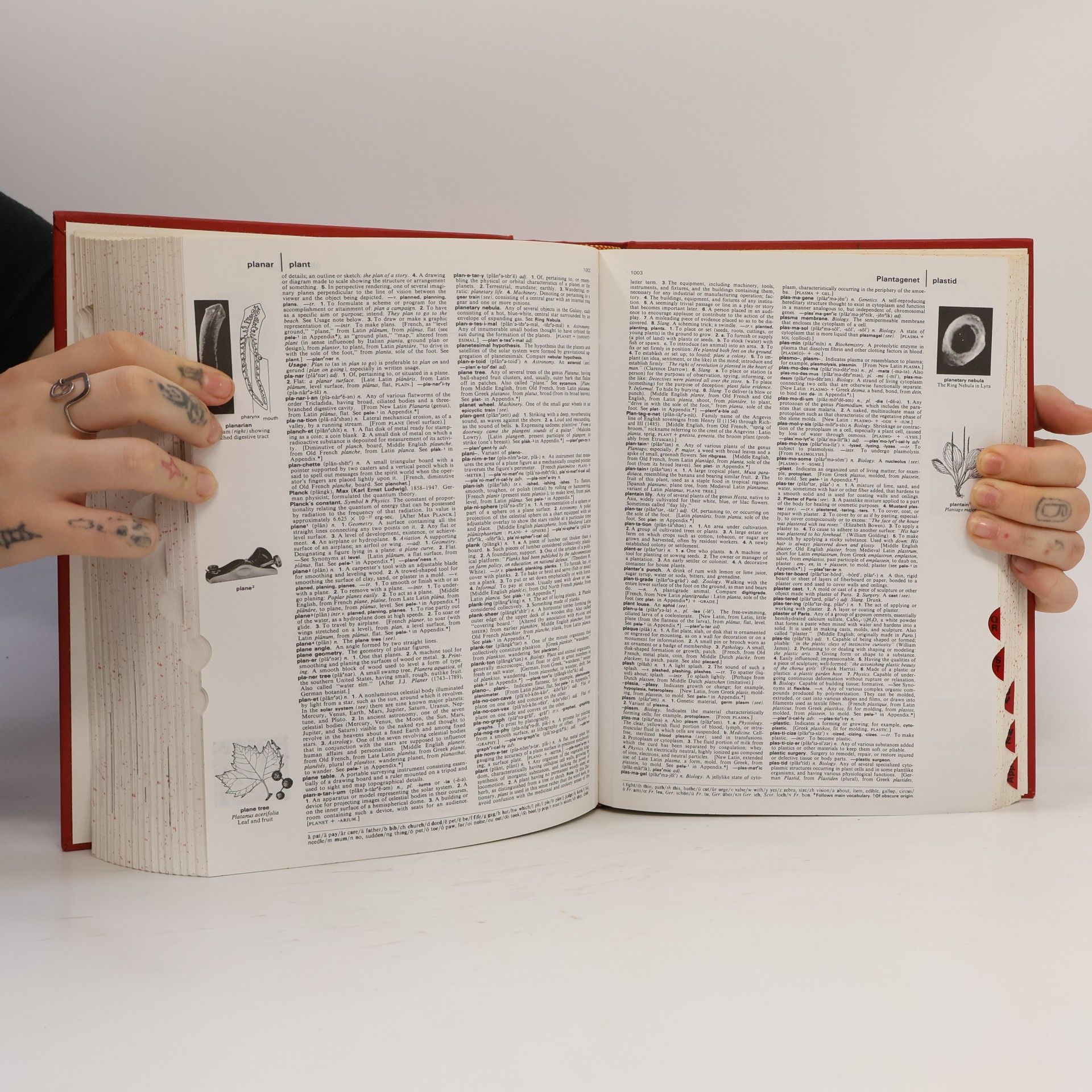 William Morris The Heritage Illustrated Dictionary of the English Language
