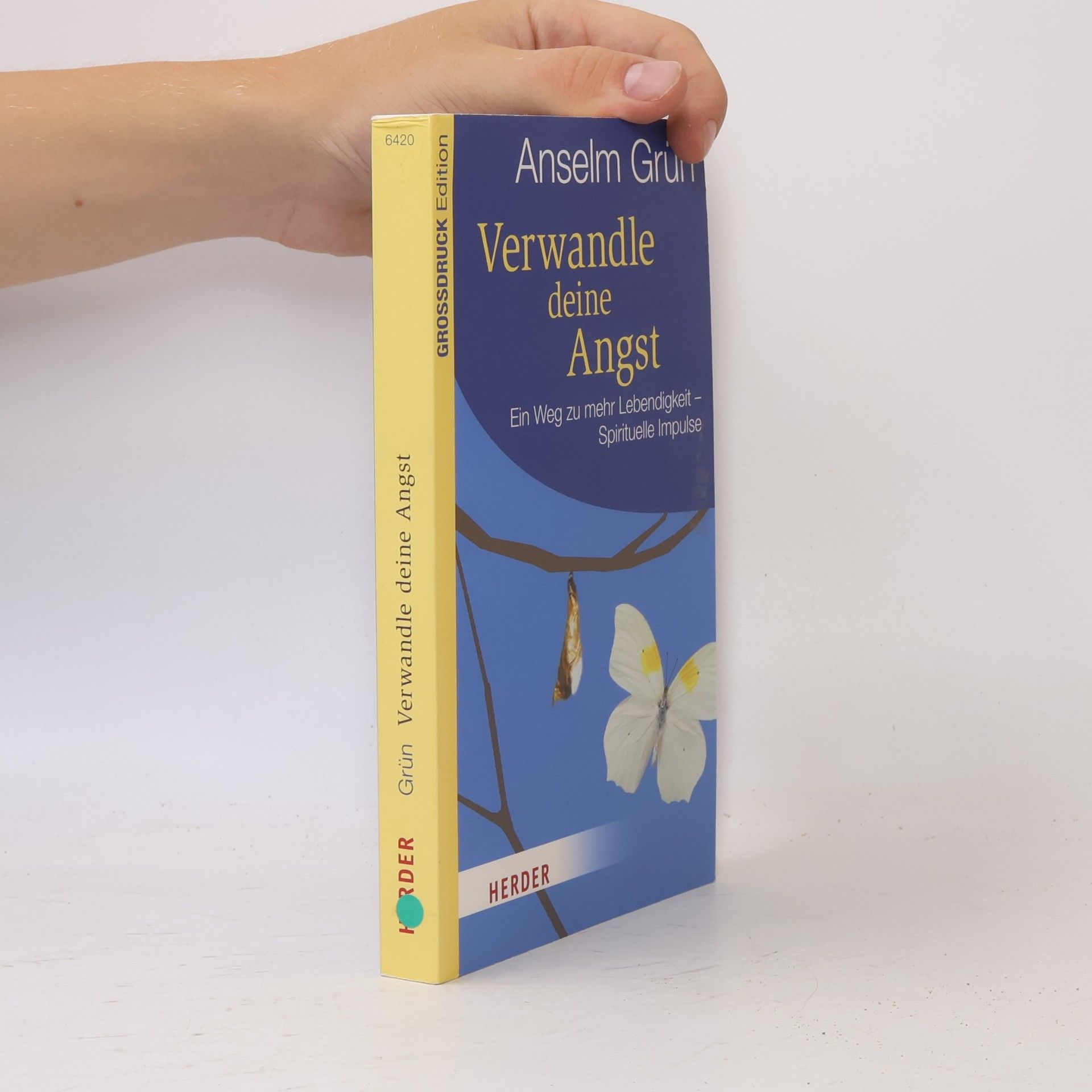 Anselm Grün Verwandle deine Angst - Grossdruck Edition