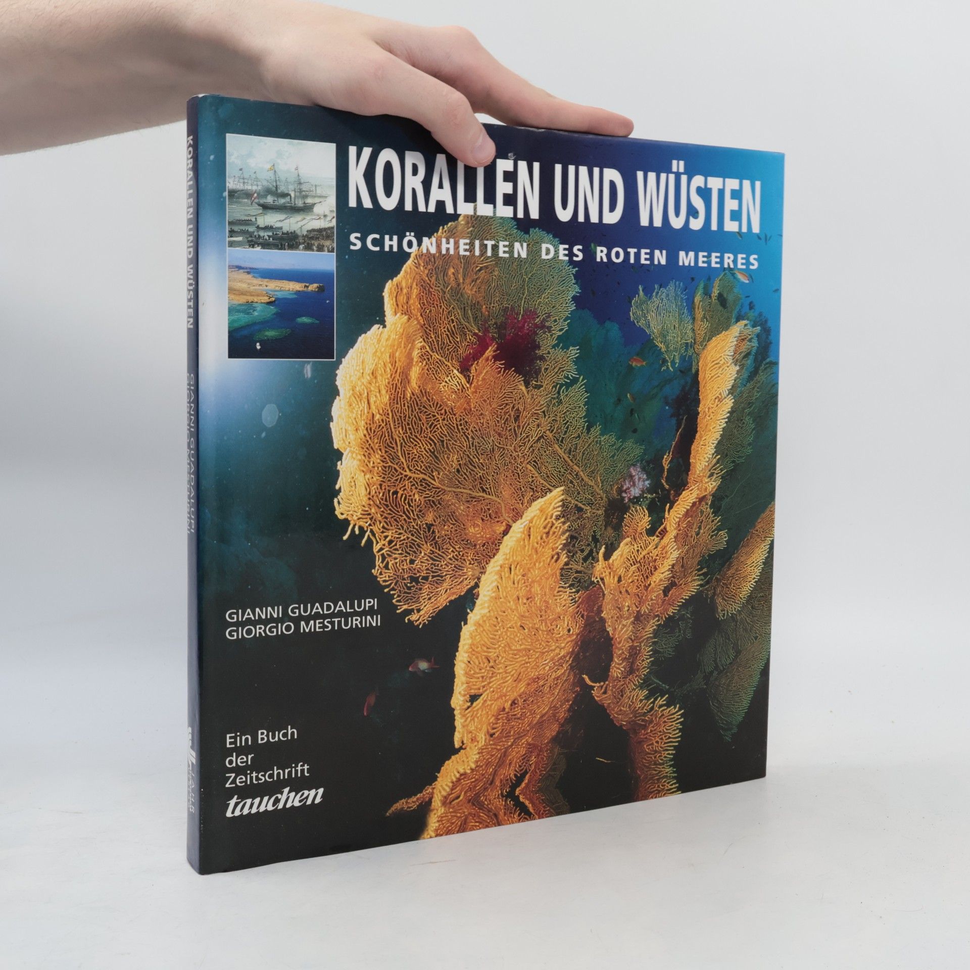 Giorgio Mesturini Korallen und Wüsten