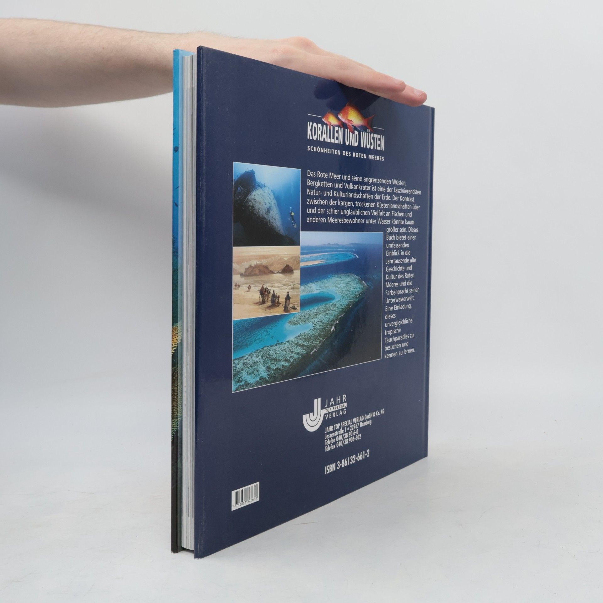 Giorgio Mesturini Korallen und Wüsten