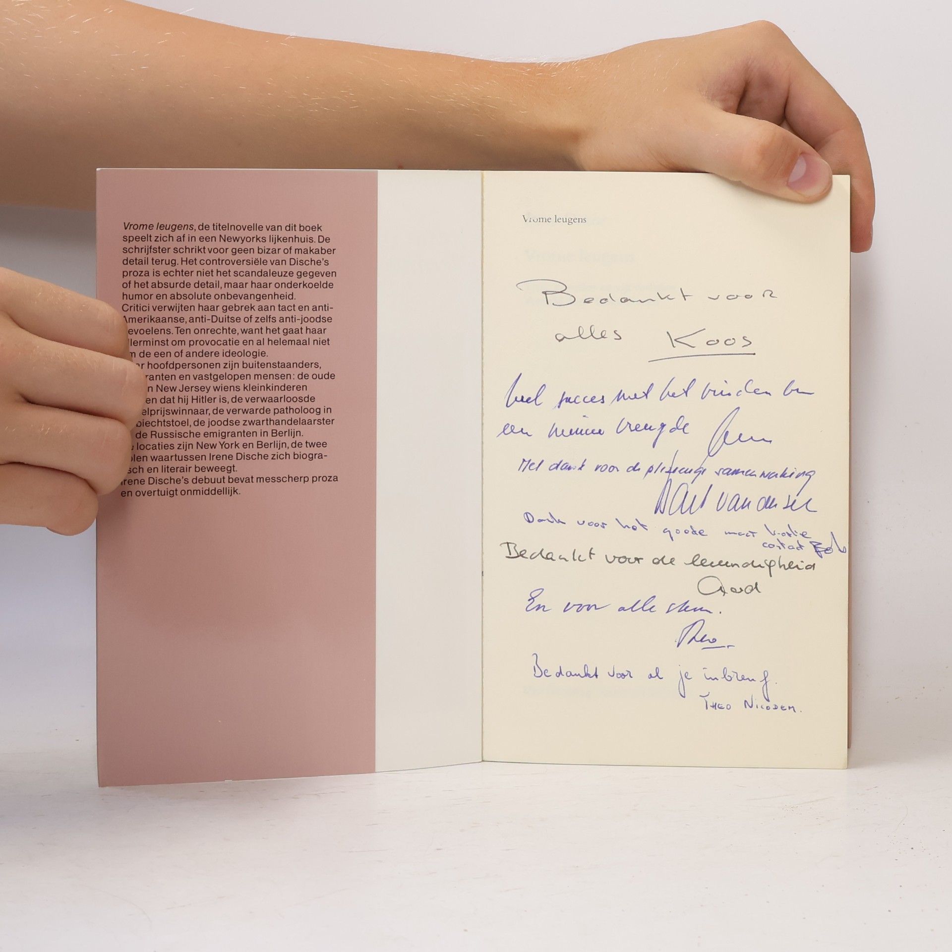 Irene Dische Vrome leugens