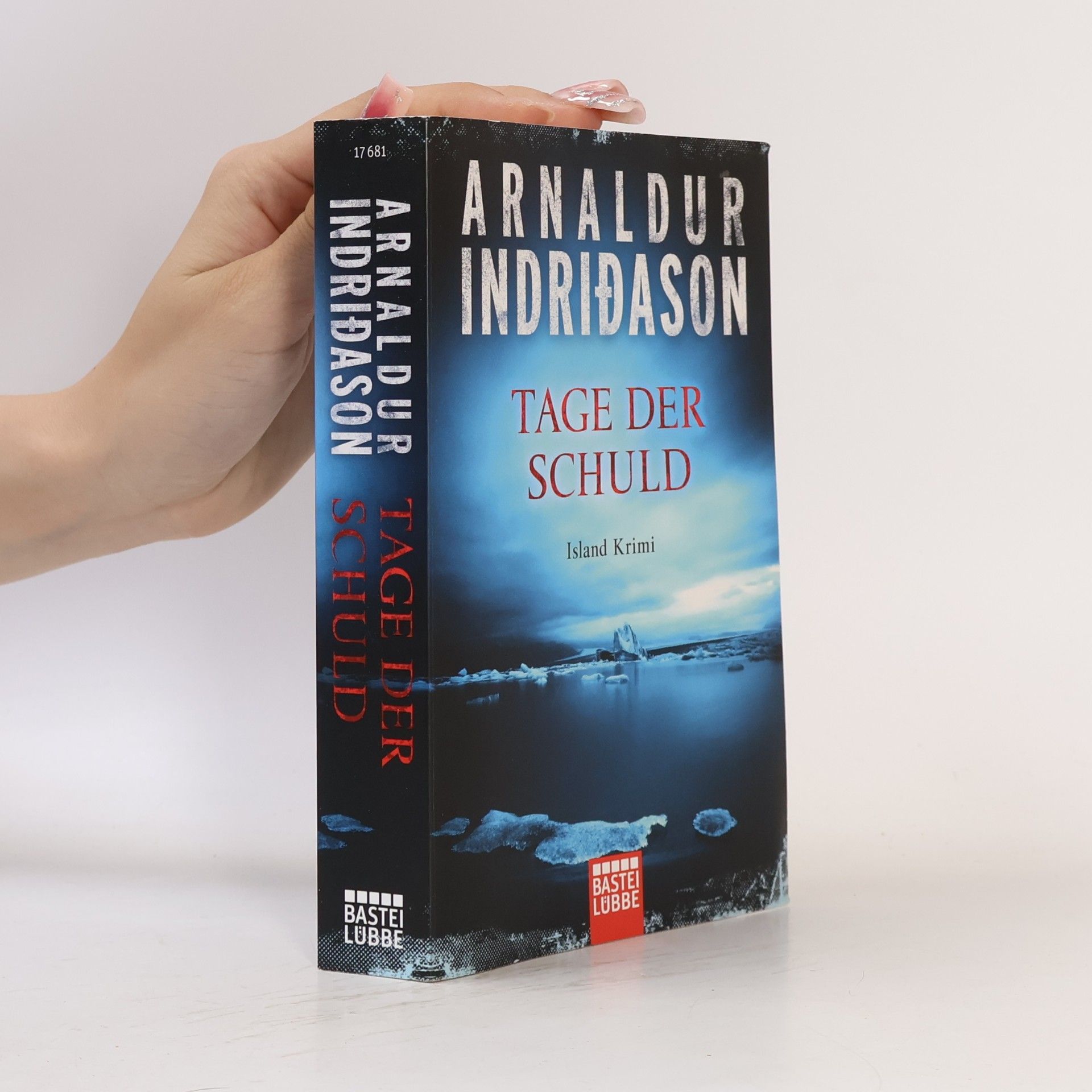 Arnaldur Indriðason Tage der Schuld