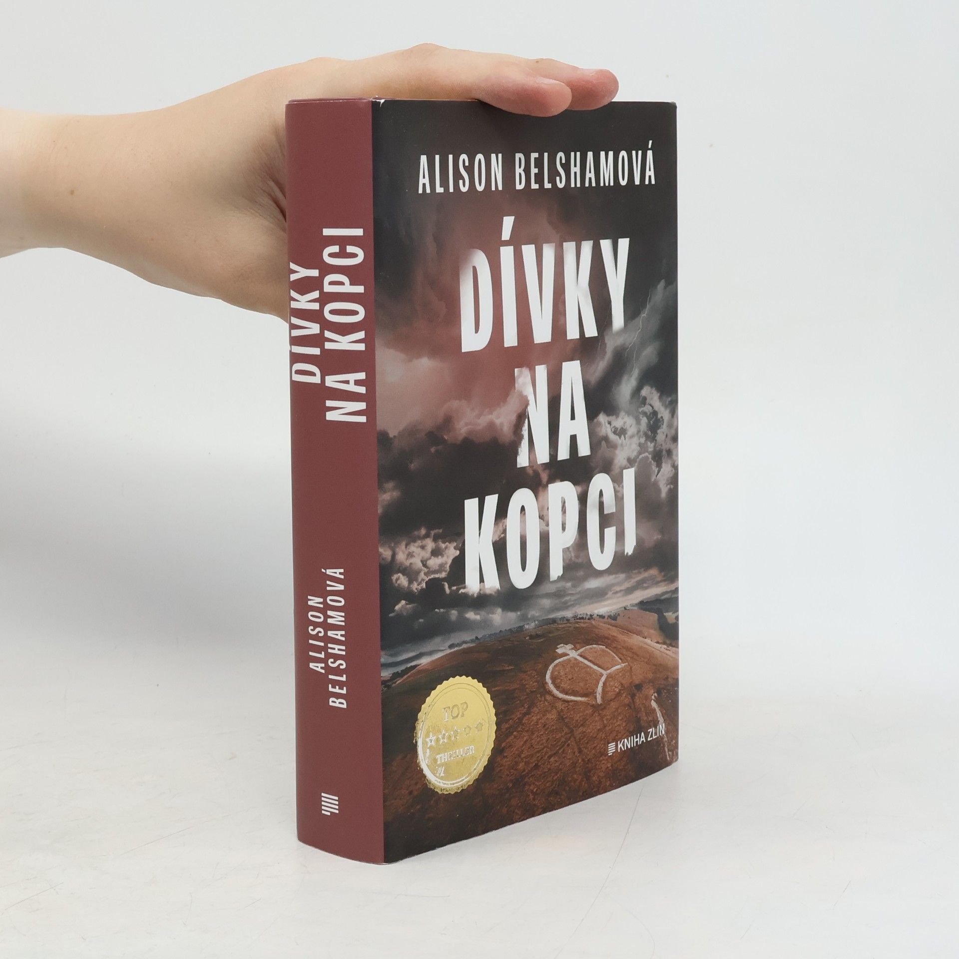 Alison Belsham Dívky na kopci
