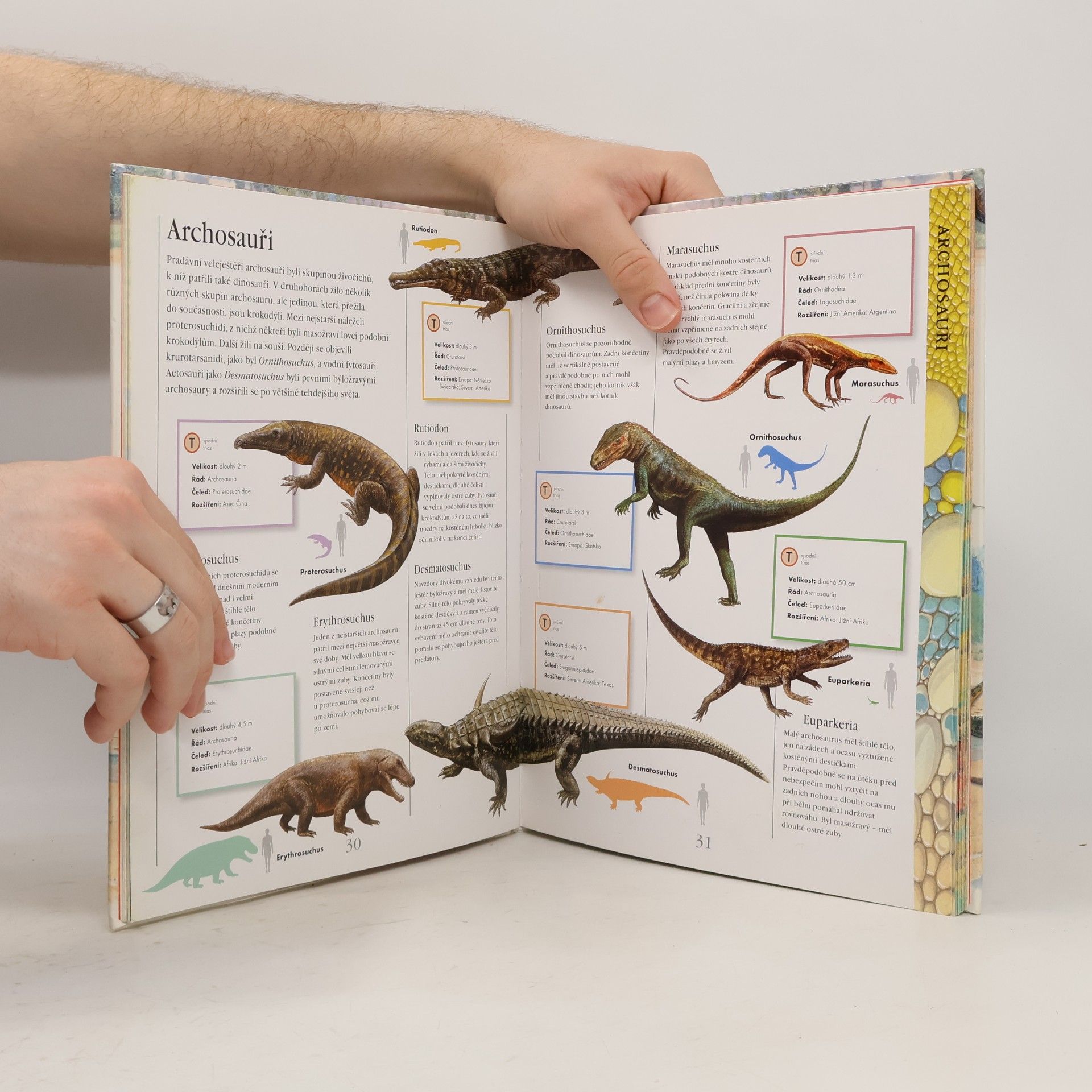 Jinny Johnson Dinosauři