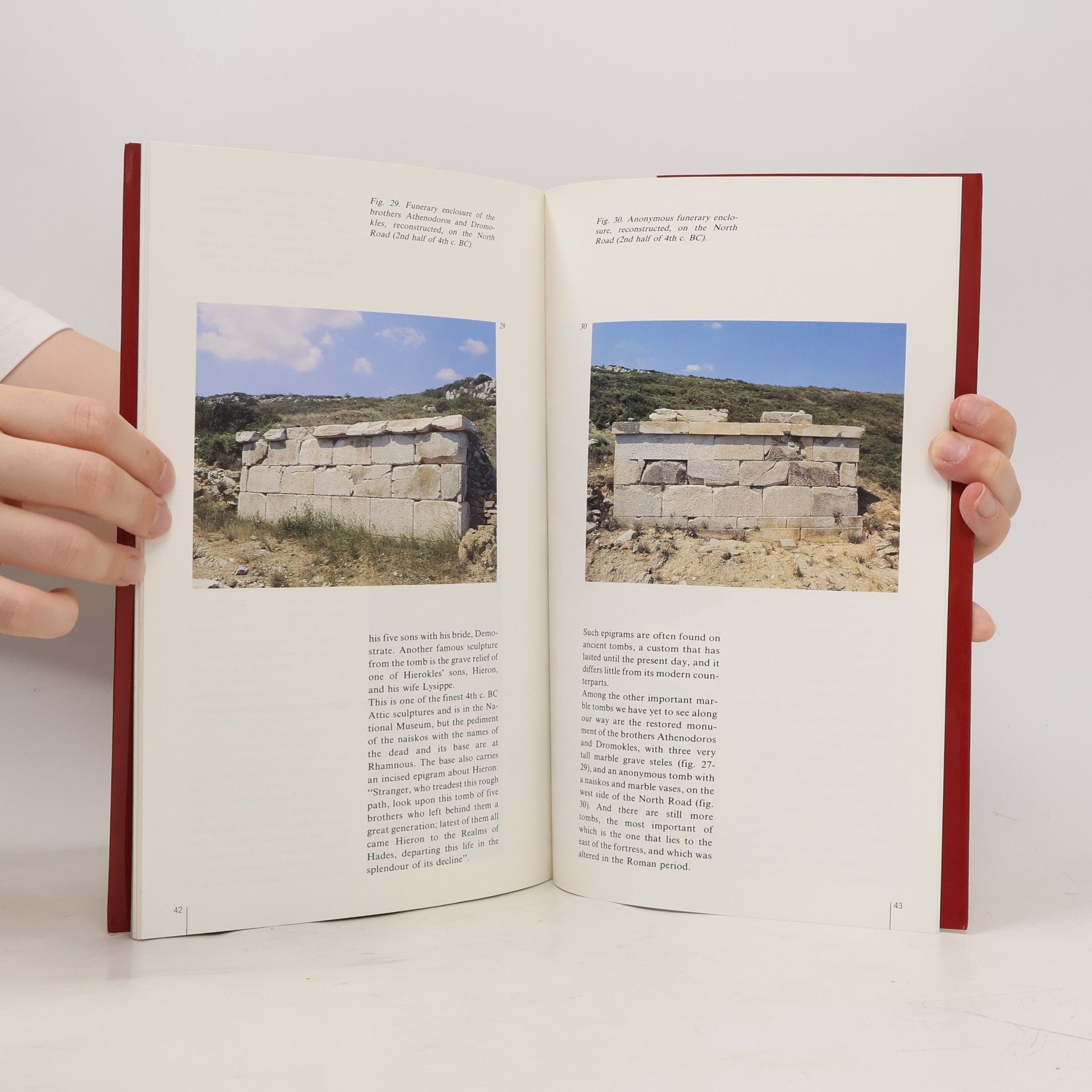 Vasileios Ch Petrakos Rhamnous