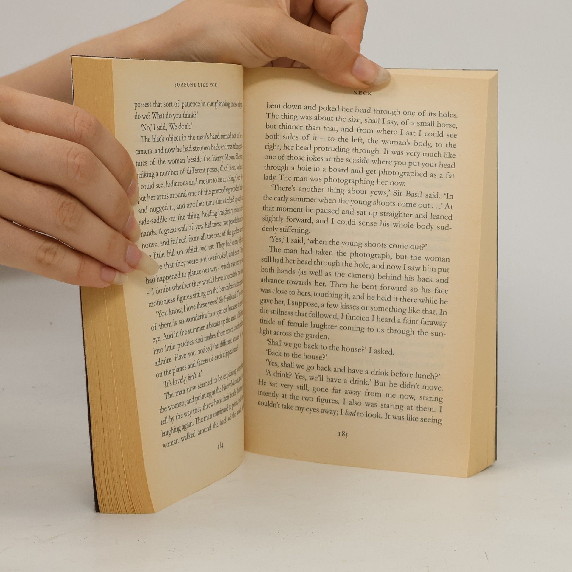 Roald Dahl Someone like you