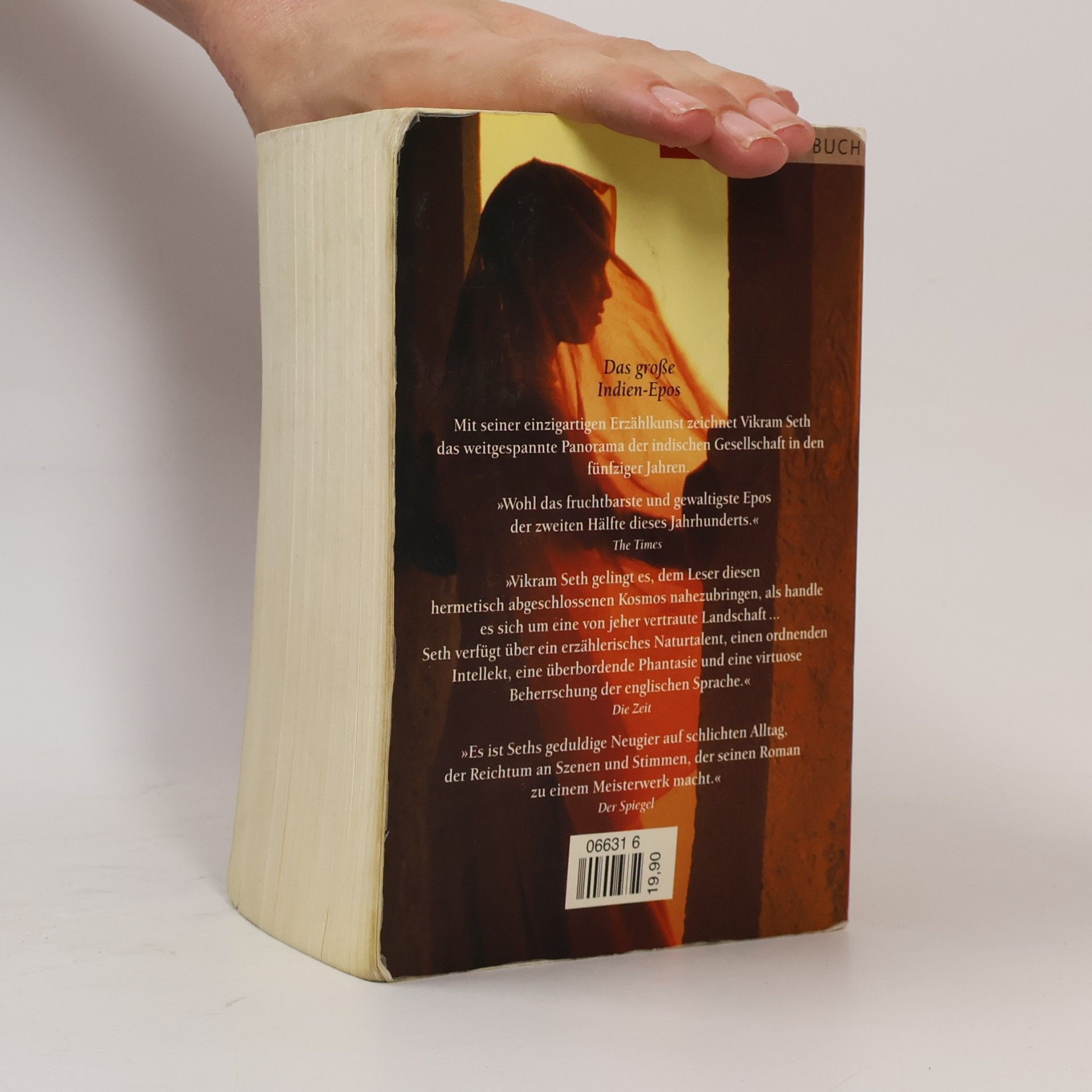 Vikram Seth Eine gute Partie