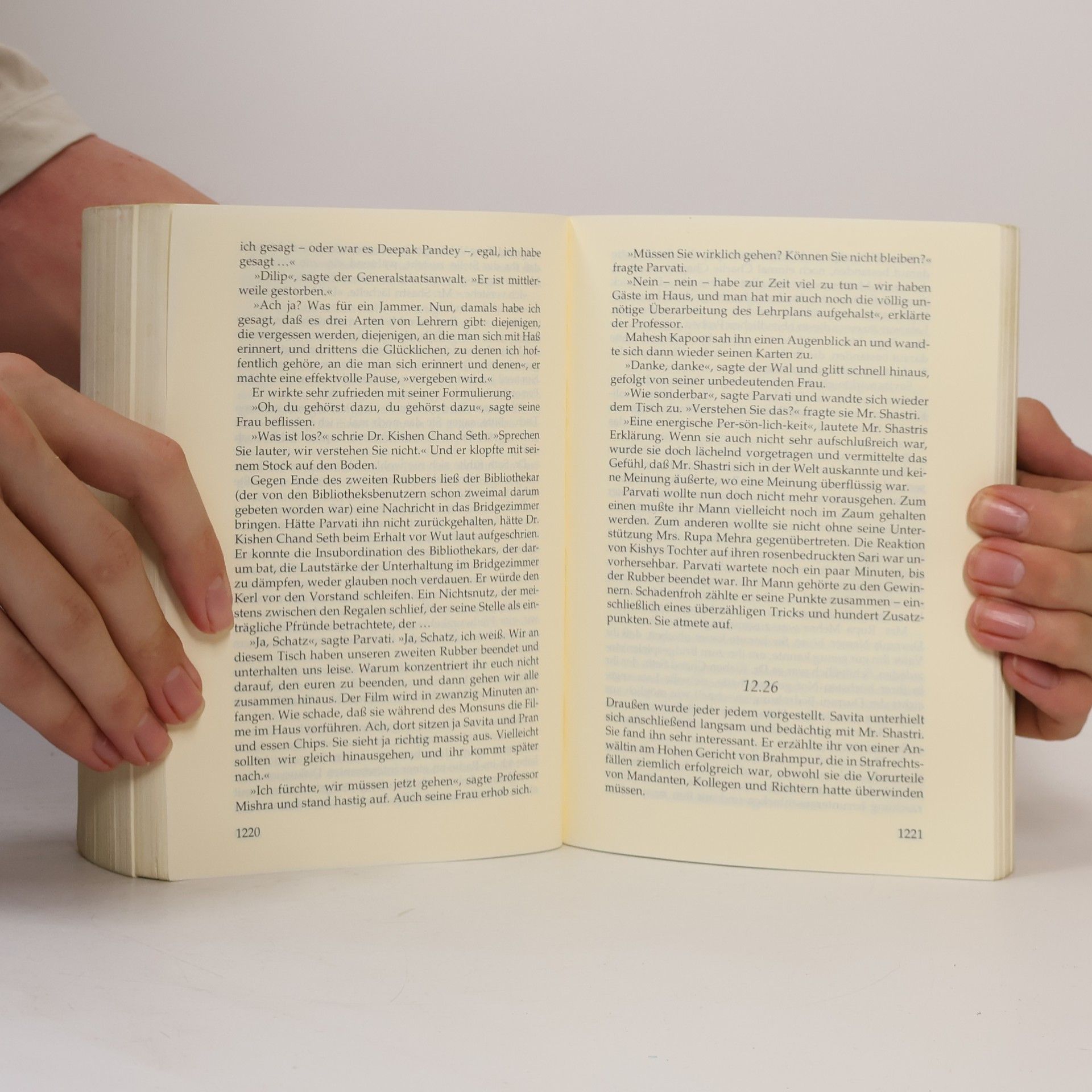Vikram Seth Eine gute Partie