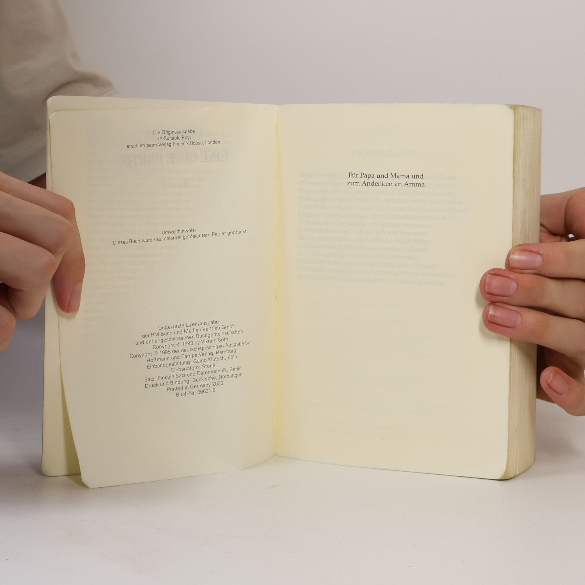 Vikram Seth Eine gute Partie