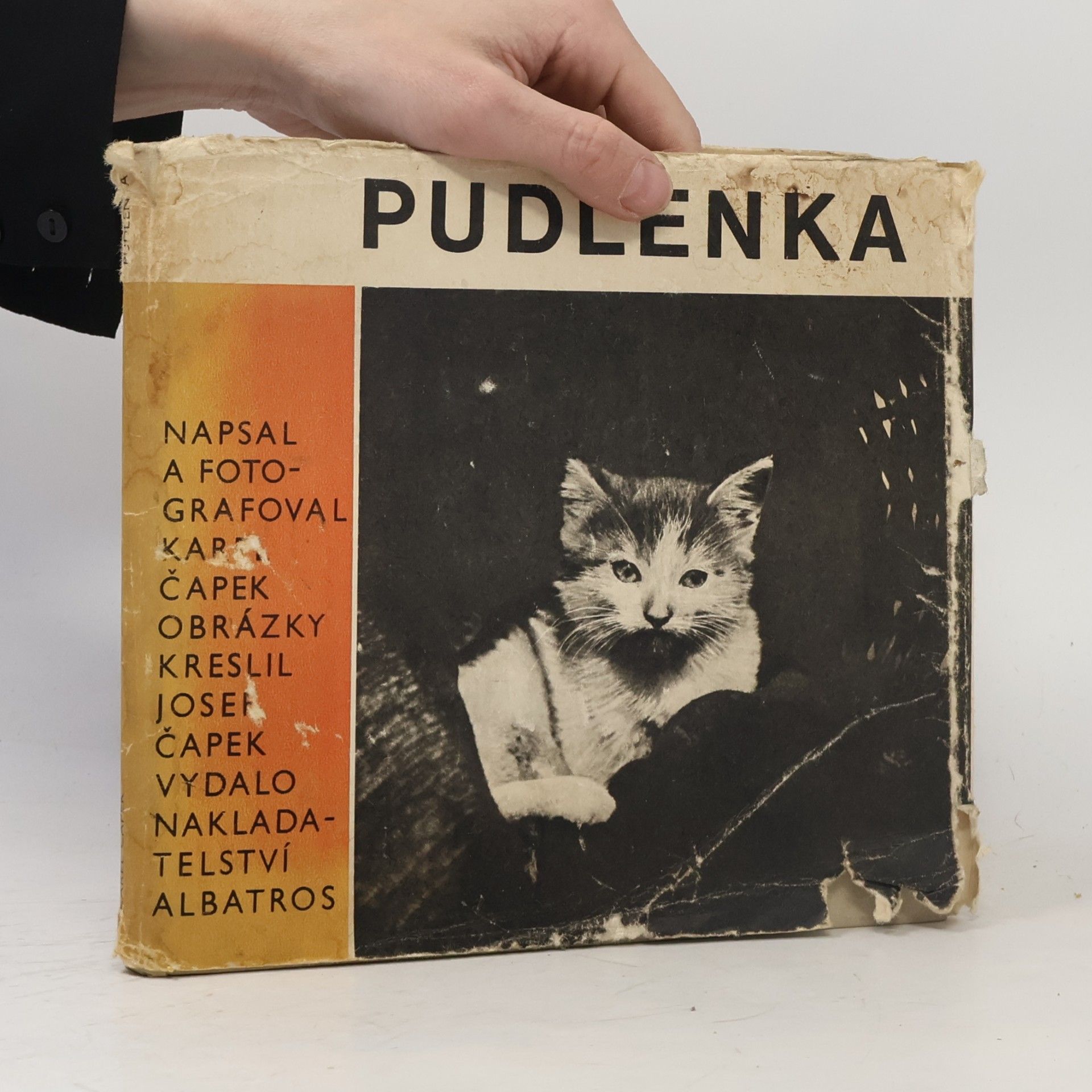 Josef Čapek Pudlenka