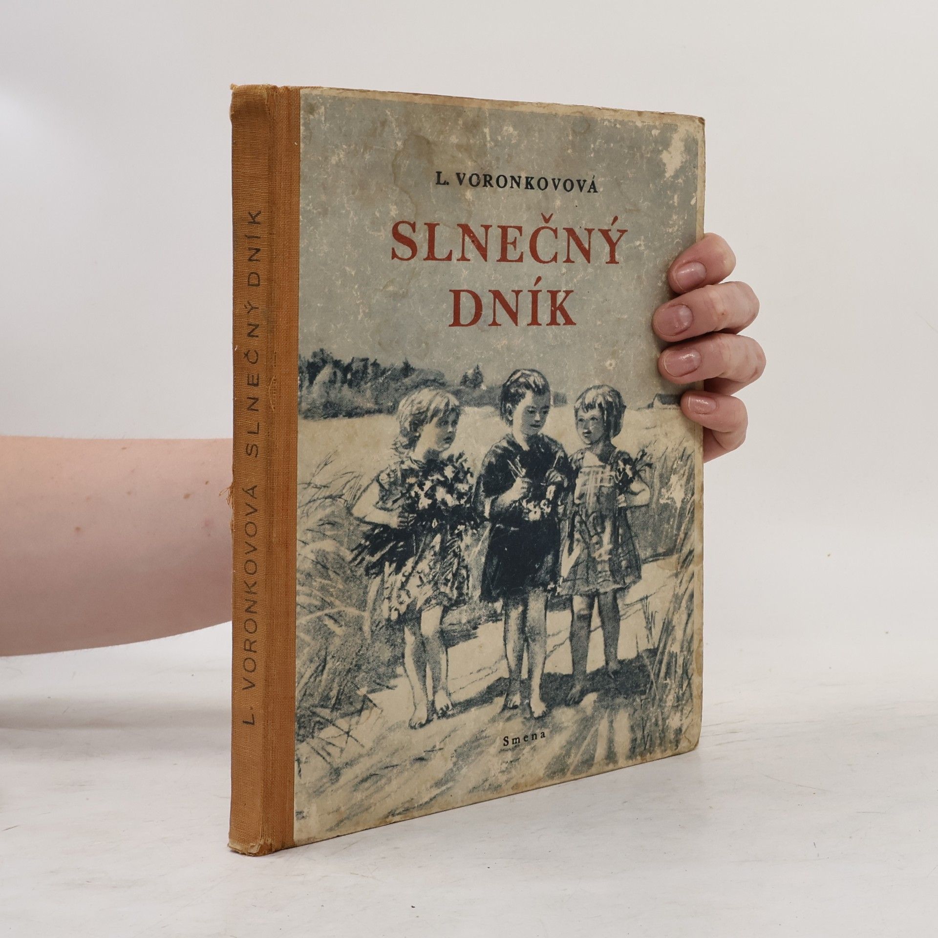 Ljubov Fedorovna Voronkova Slnečný dník