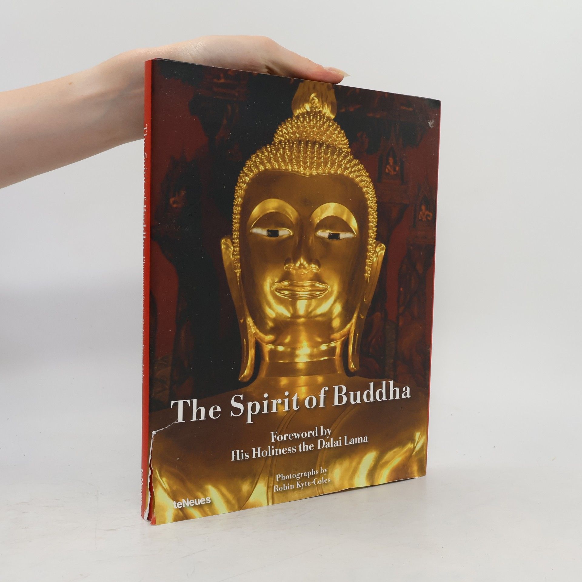 Robin Kyte-Coles The Spirit of Buddha