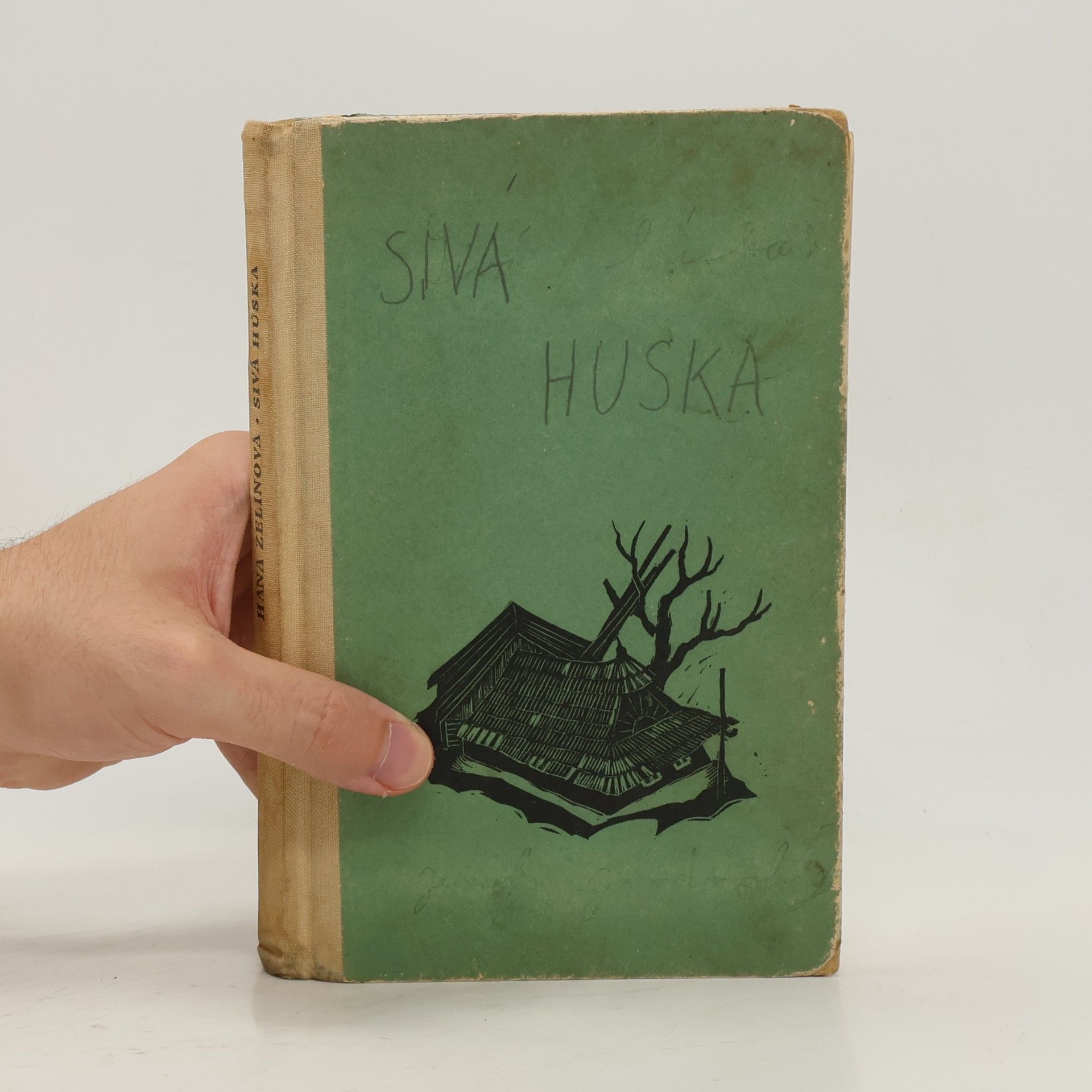 Hana Zelinová Sivá húska