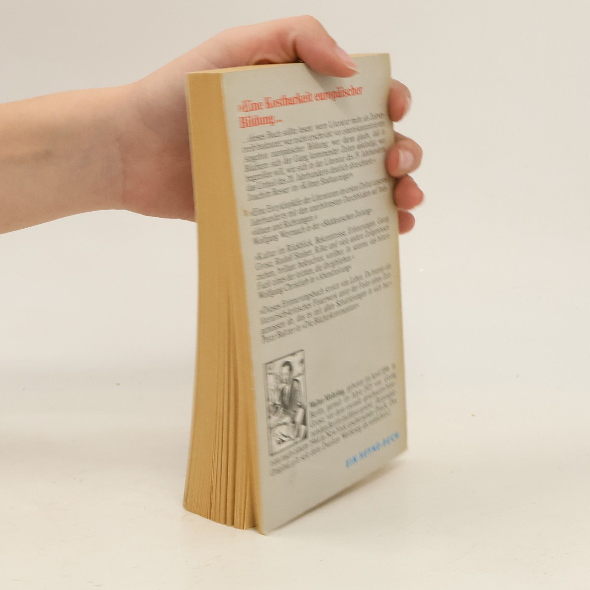 Walter Mehring Die verlorene Bibliothek