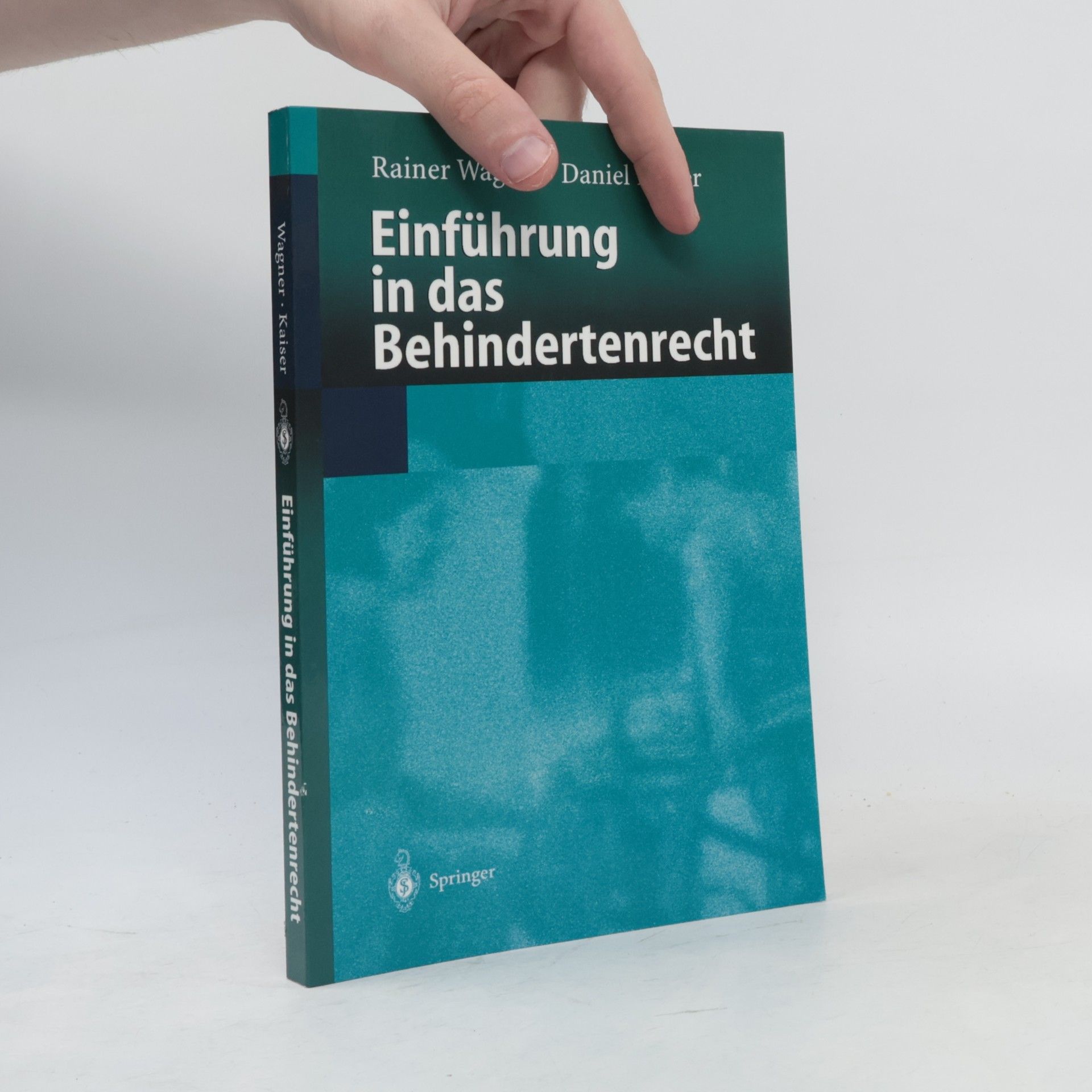 Rainer Wagner Einführung in das Behindertenrecht