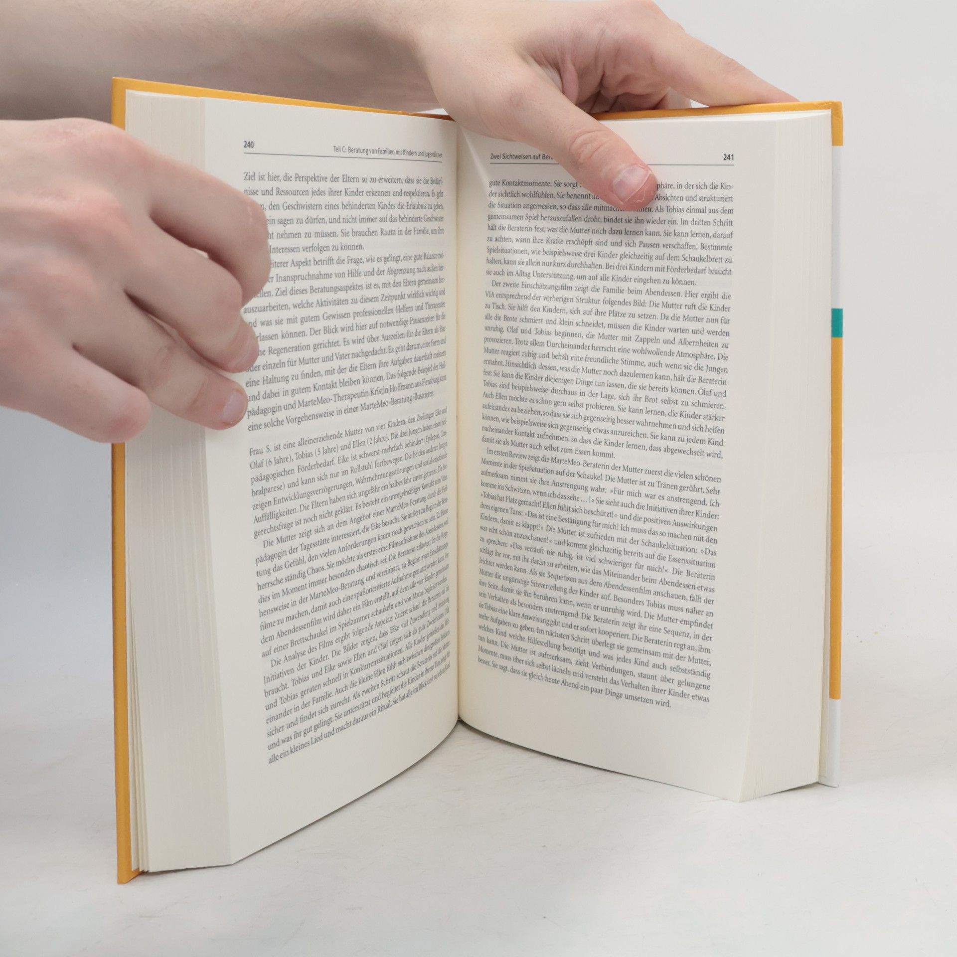 Peter Bündner Lehrbuch der MarteMeo-Methode - inklusive DVD und Online-Material