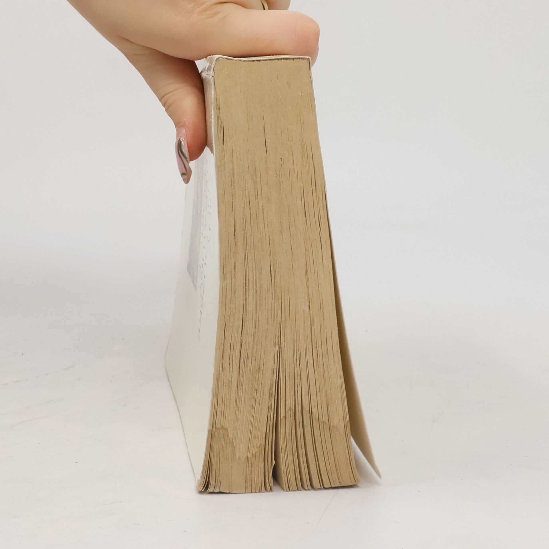 Jiří Šrámek Dějiny francouzské literatury v kostce