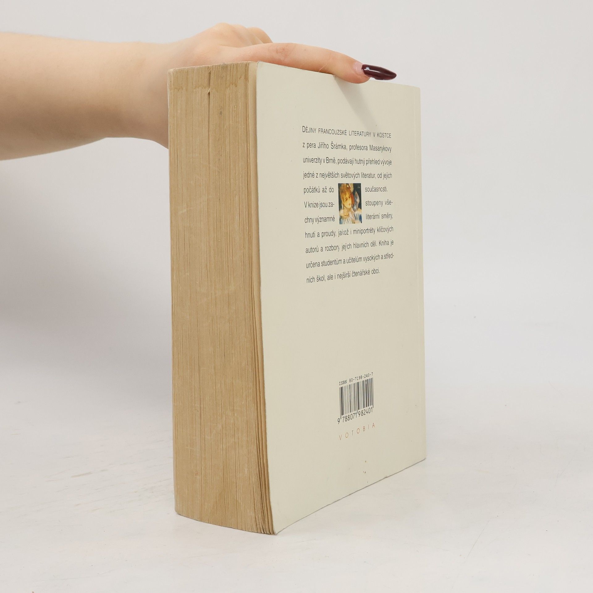 Jiří Šrámek Dějiny francouzské literatury v kostce