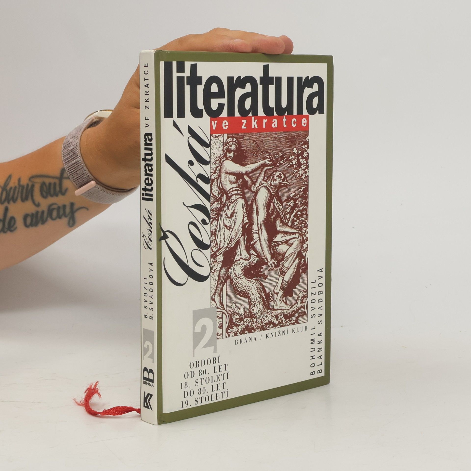 Česká literatura ve zkratce (2. díl)